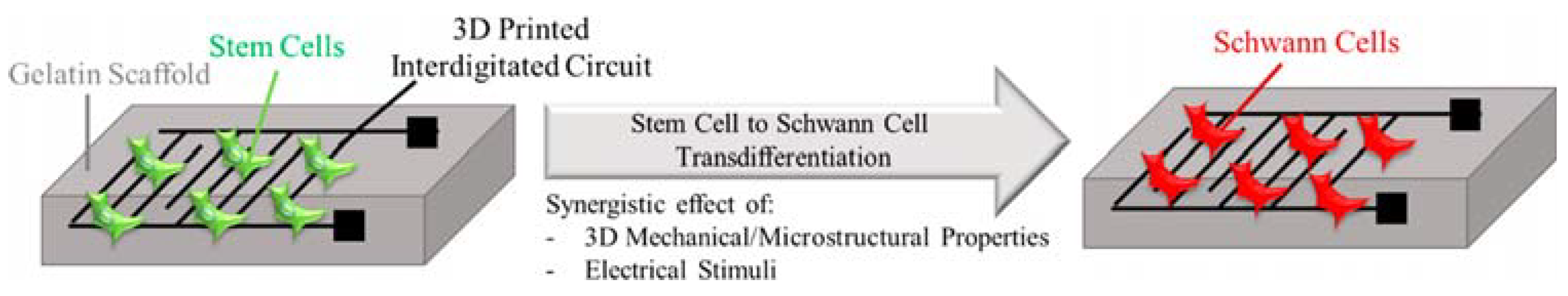 Biomimetics 10 00213 g009