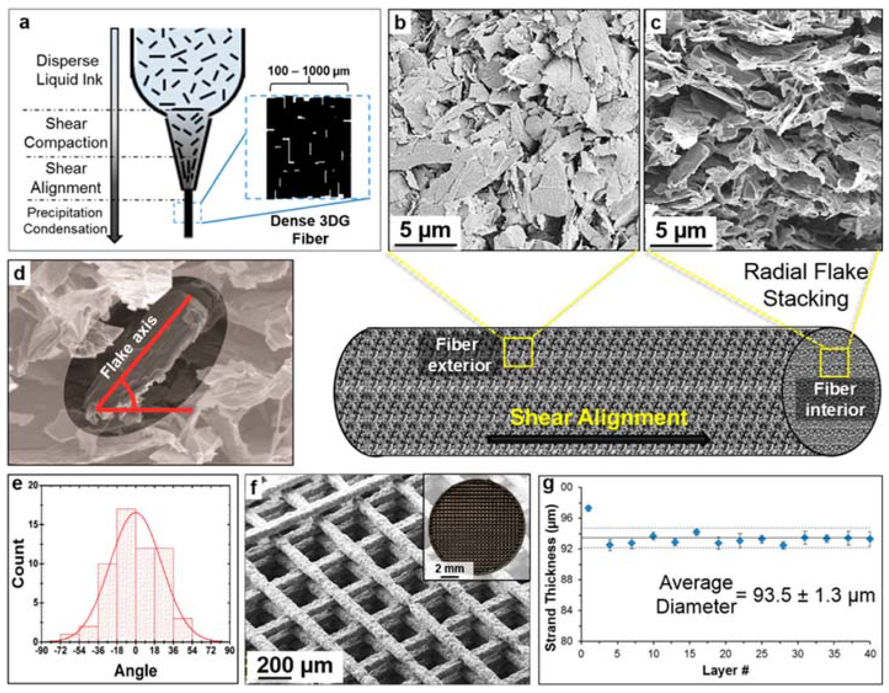 Biomimetics 10 00213 g010