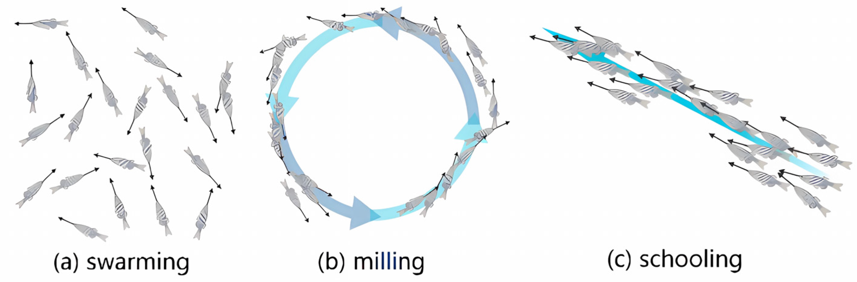 Biomimetics 10 00215 g001