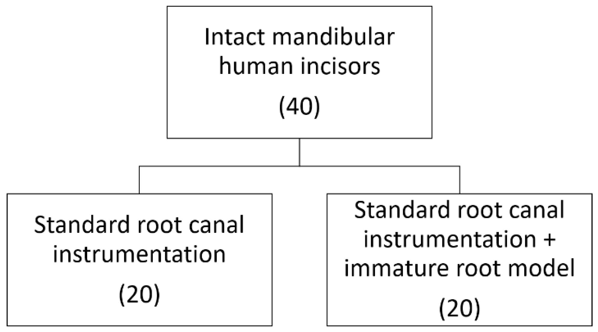 Biomimetics 10 00216 g001
