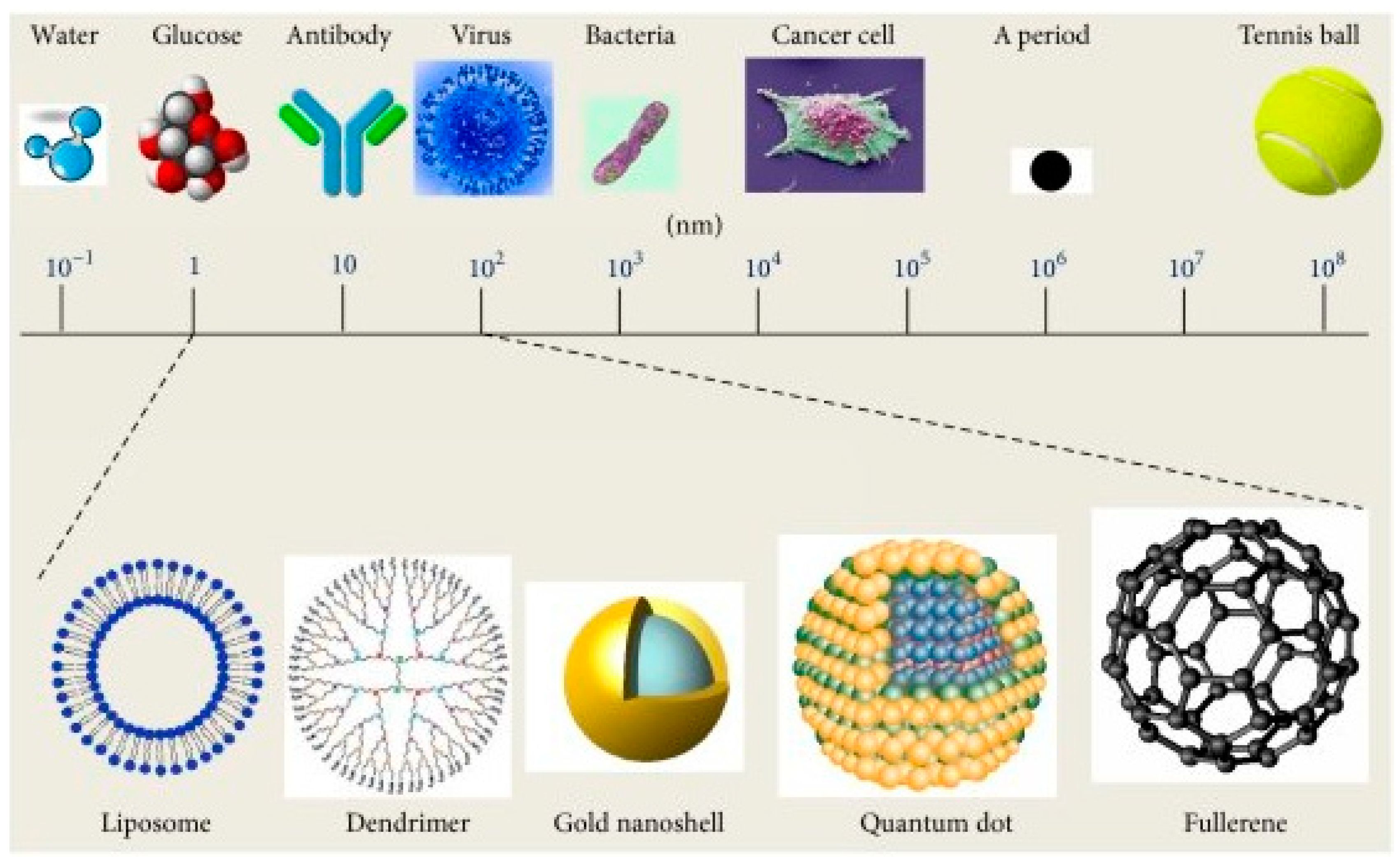 Biomimetics 10 00217 g001
