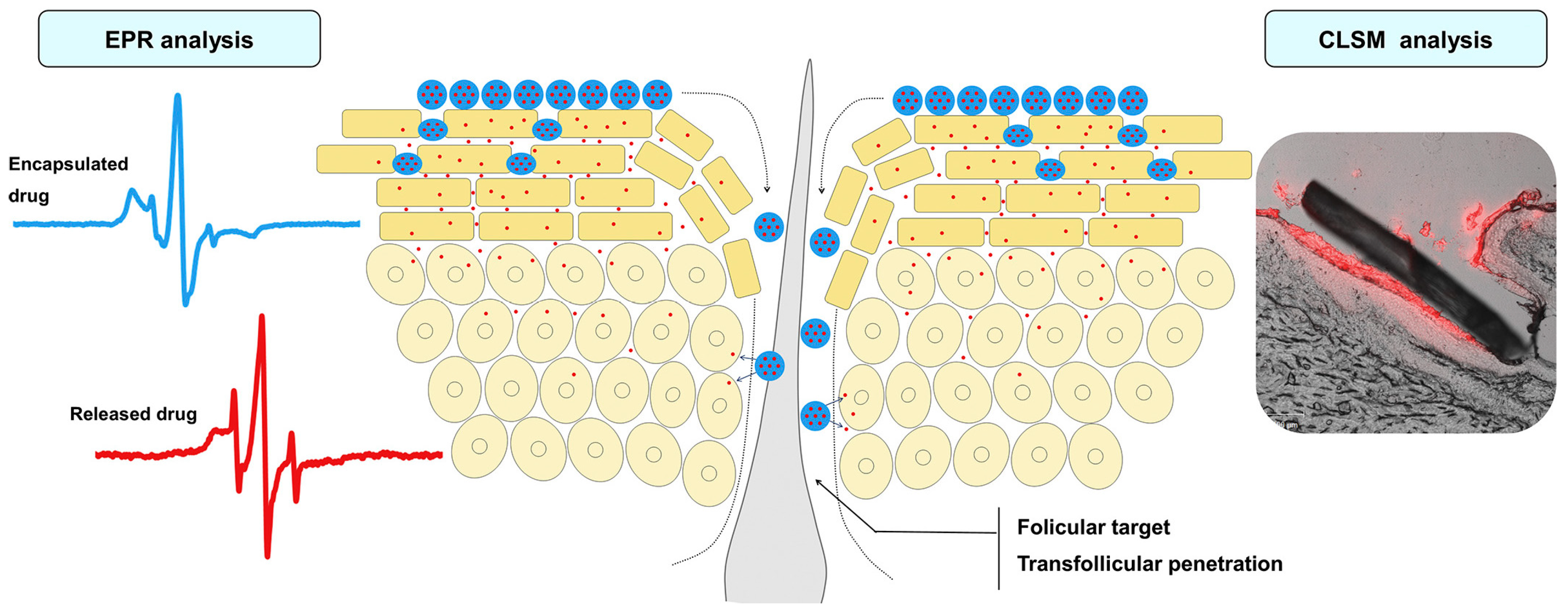 Biomimetics 10 00217 g004