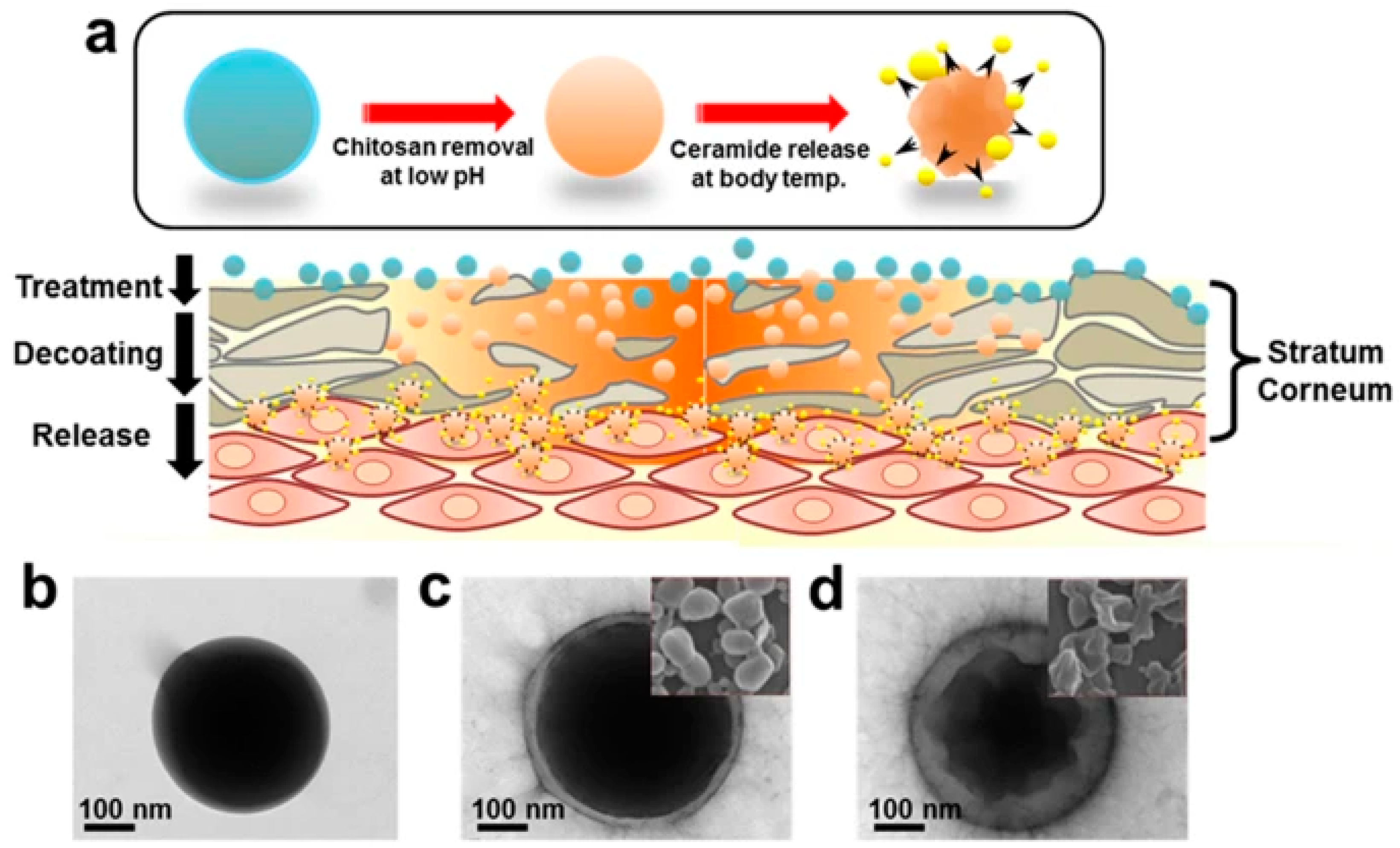 Biomimetics 10 00217 g005