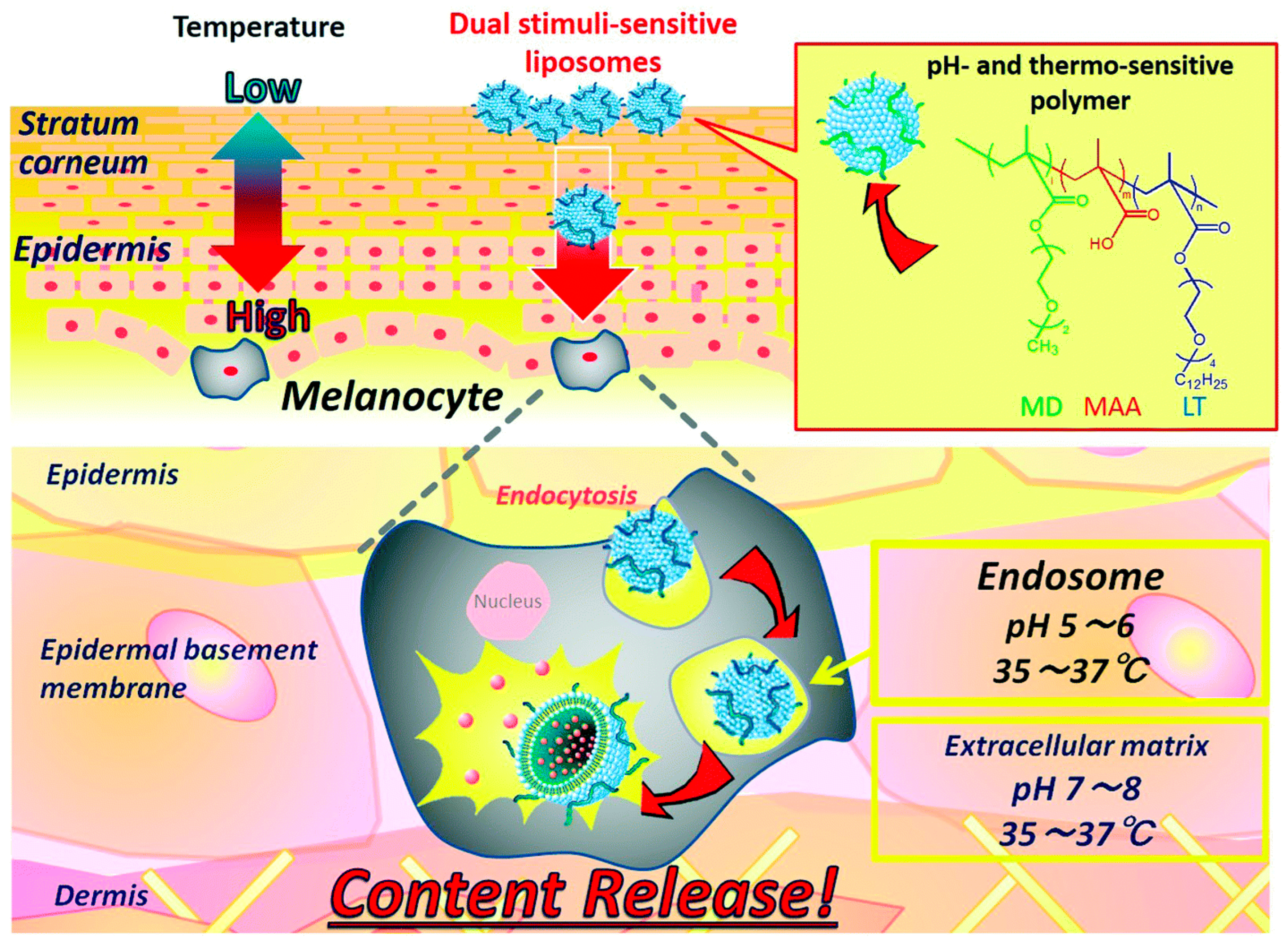 Biomimetics 10 00217 g006