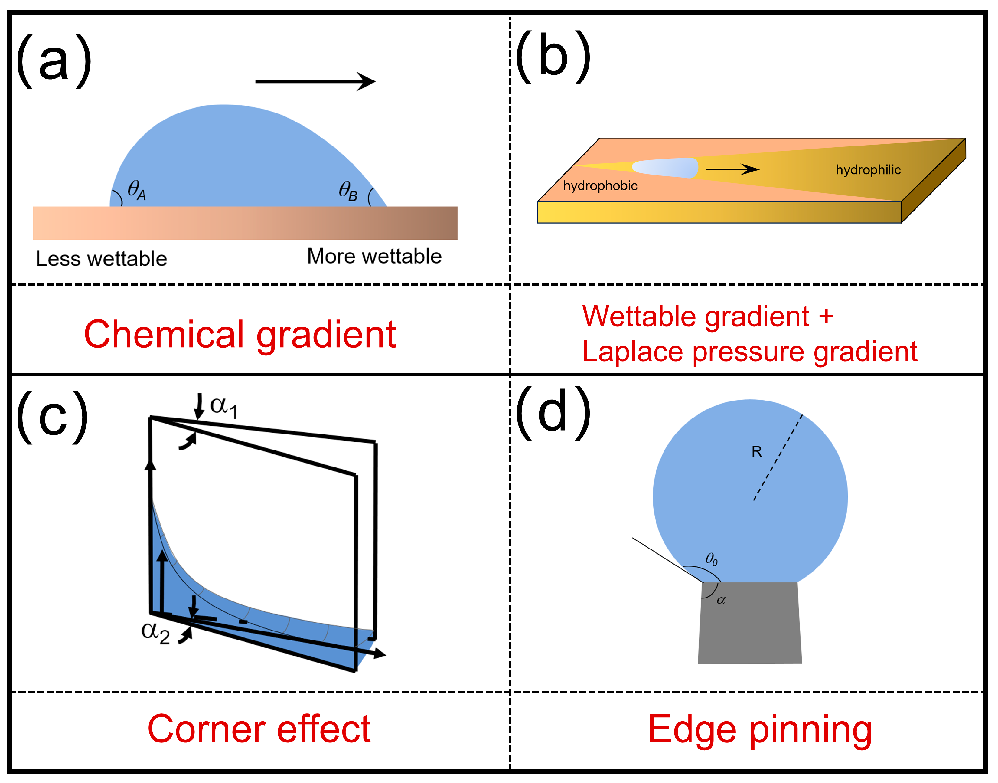 Biomimetics 10 00223 g002