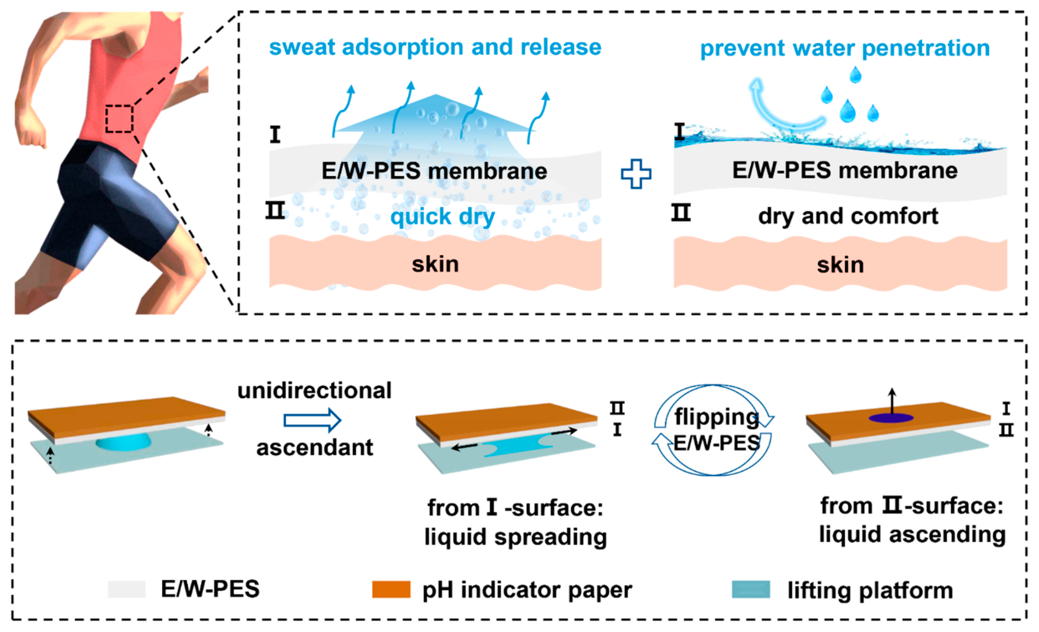 Biomimetics 10 00223 g005