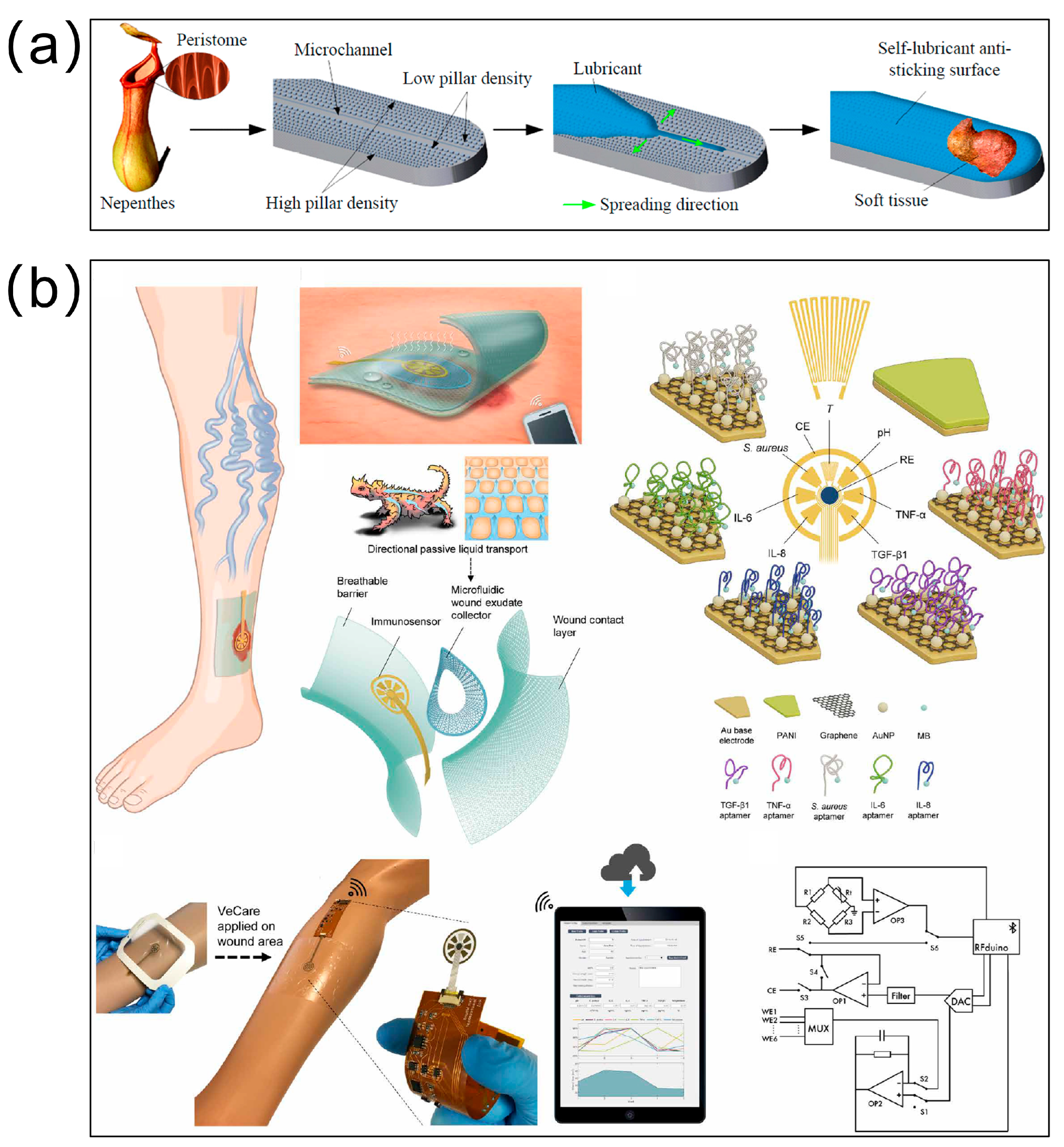 Biomimetics 10 00223 g007