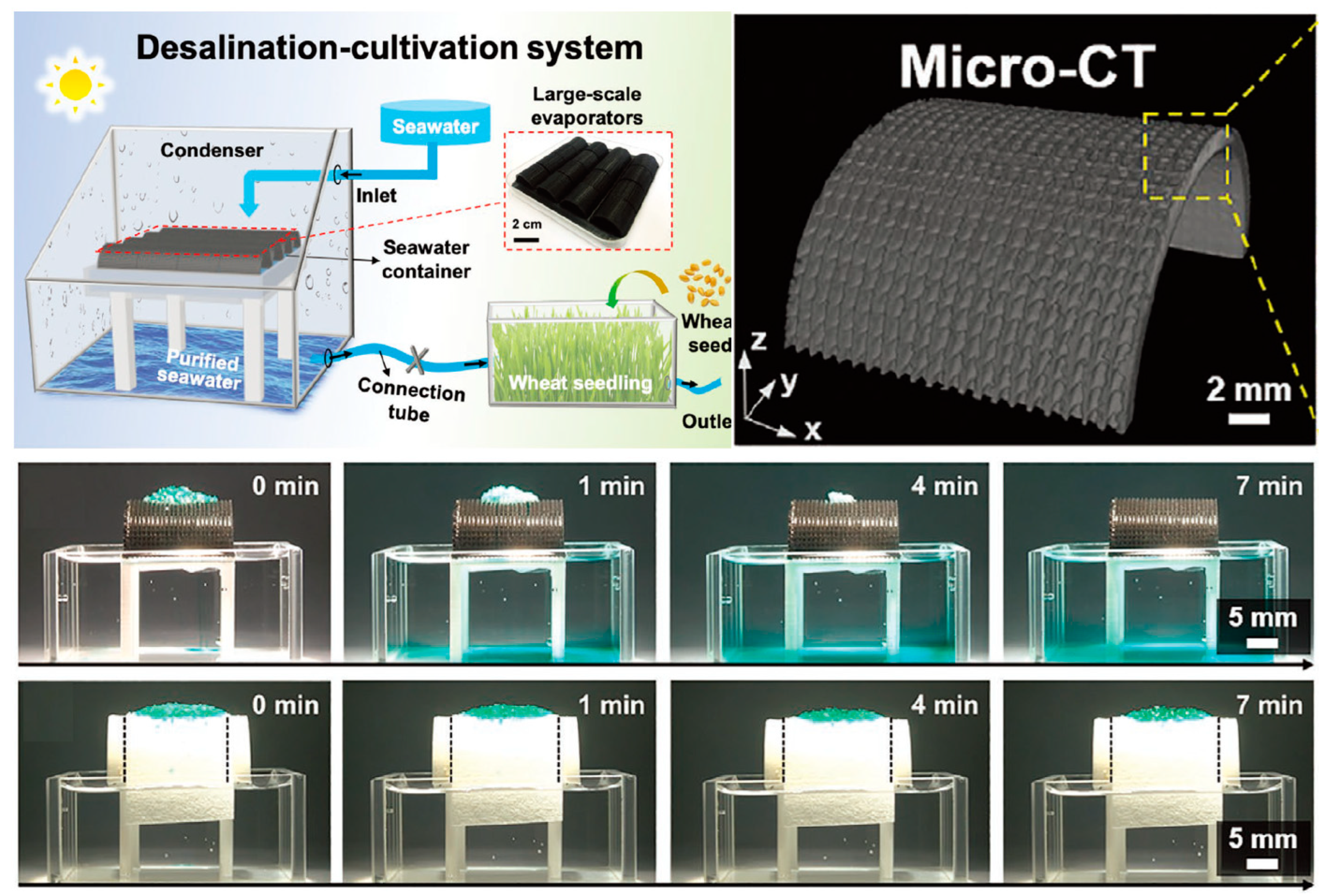 Biomimetics 10 00223 g008