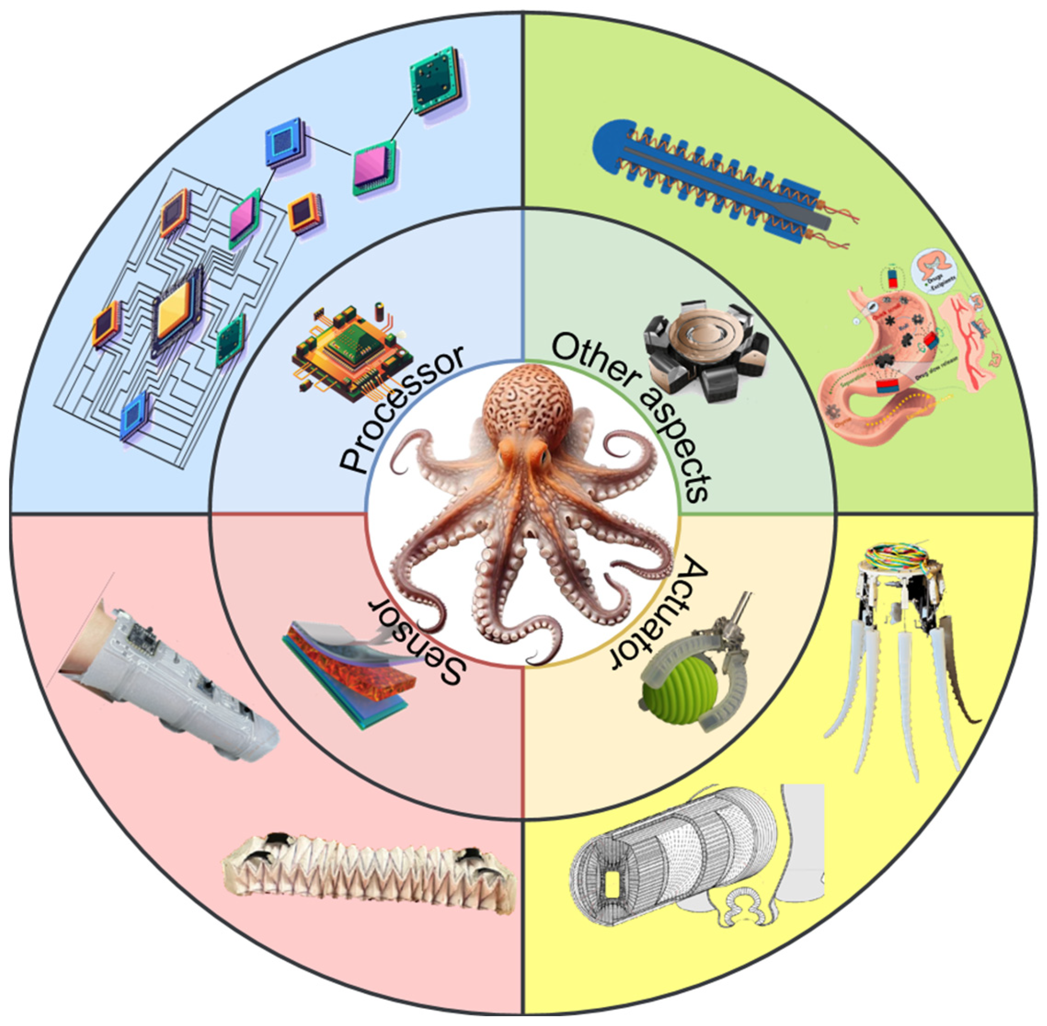 Biomimetics 10 00224 g001