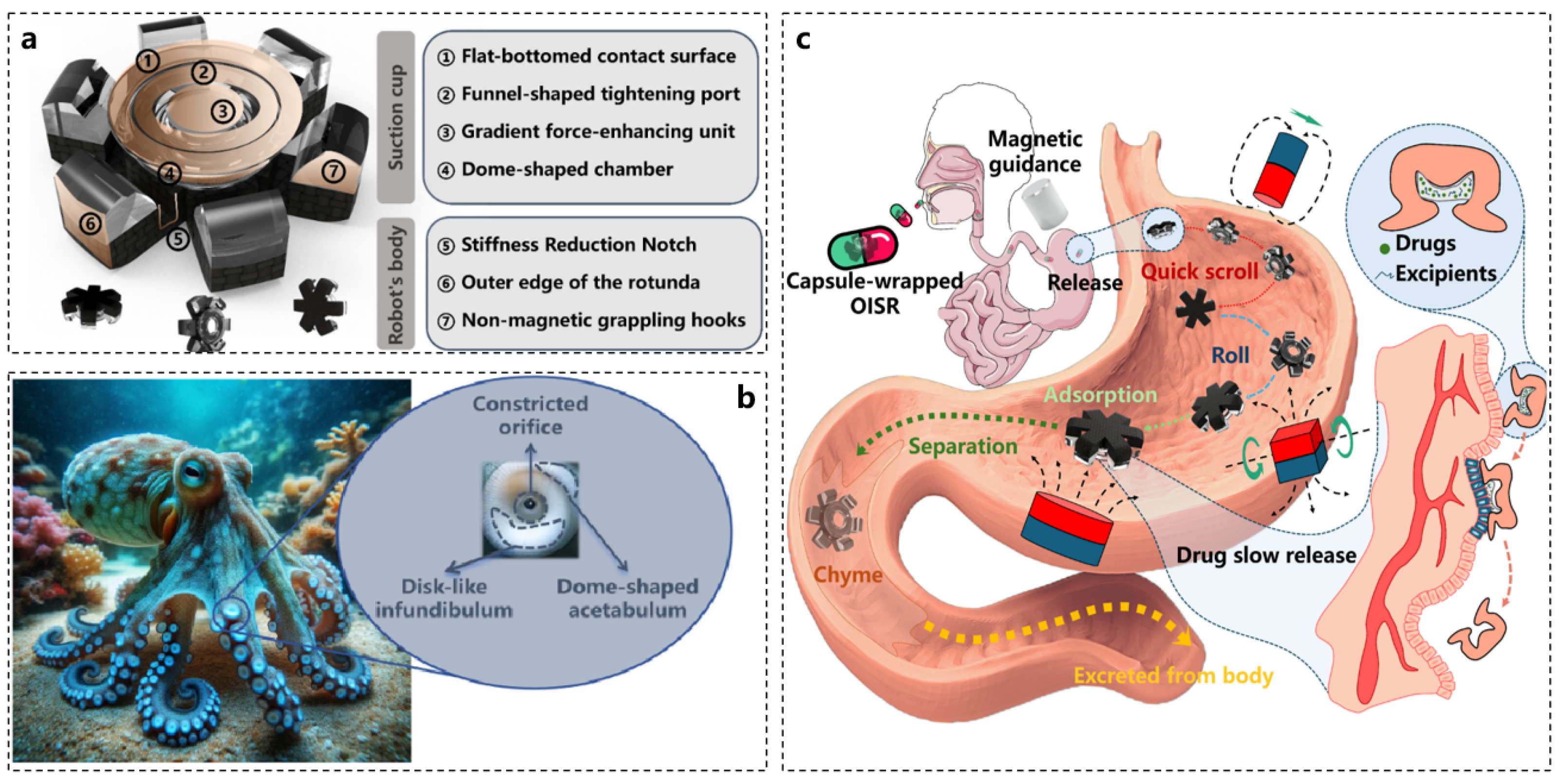 Biomimetics 10 00224 g009