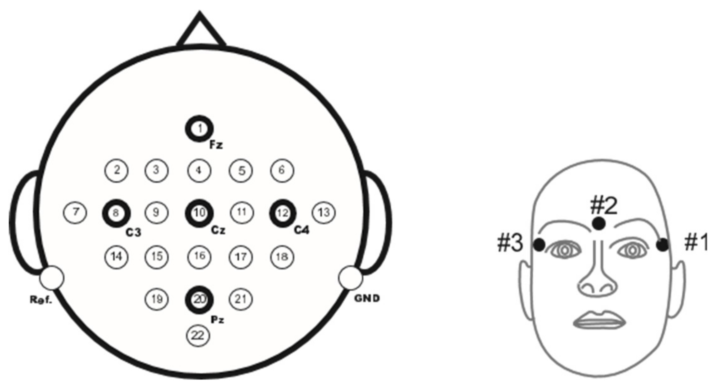 Biomimetics 10 00225 g002