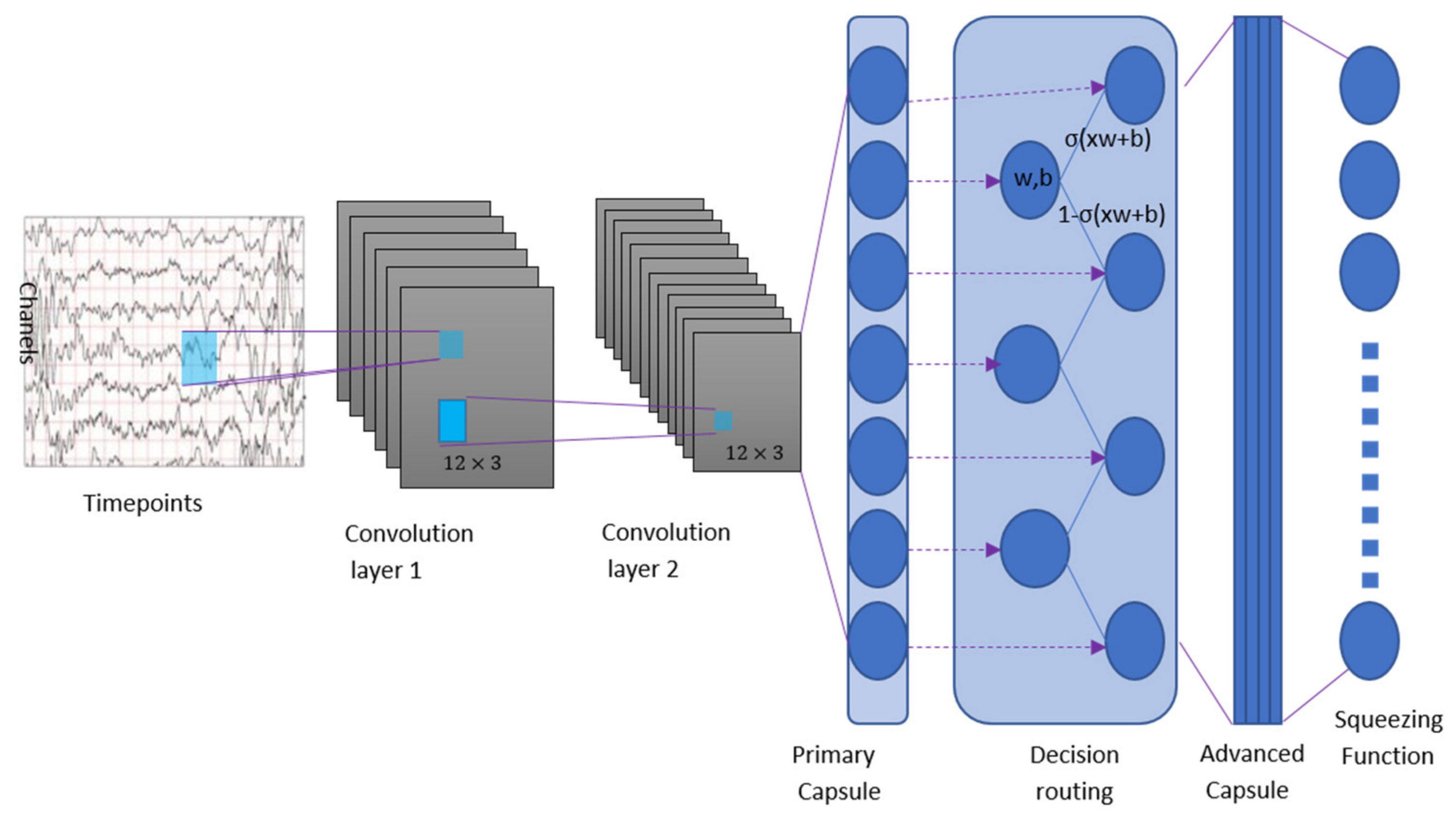 Biomimetics 10 00225 g003