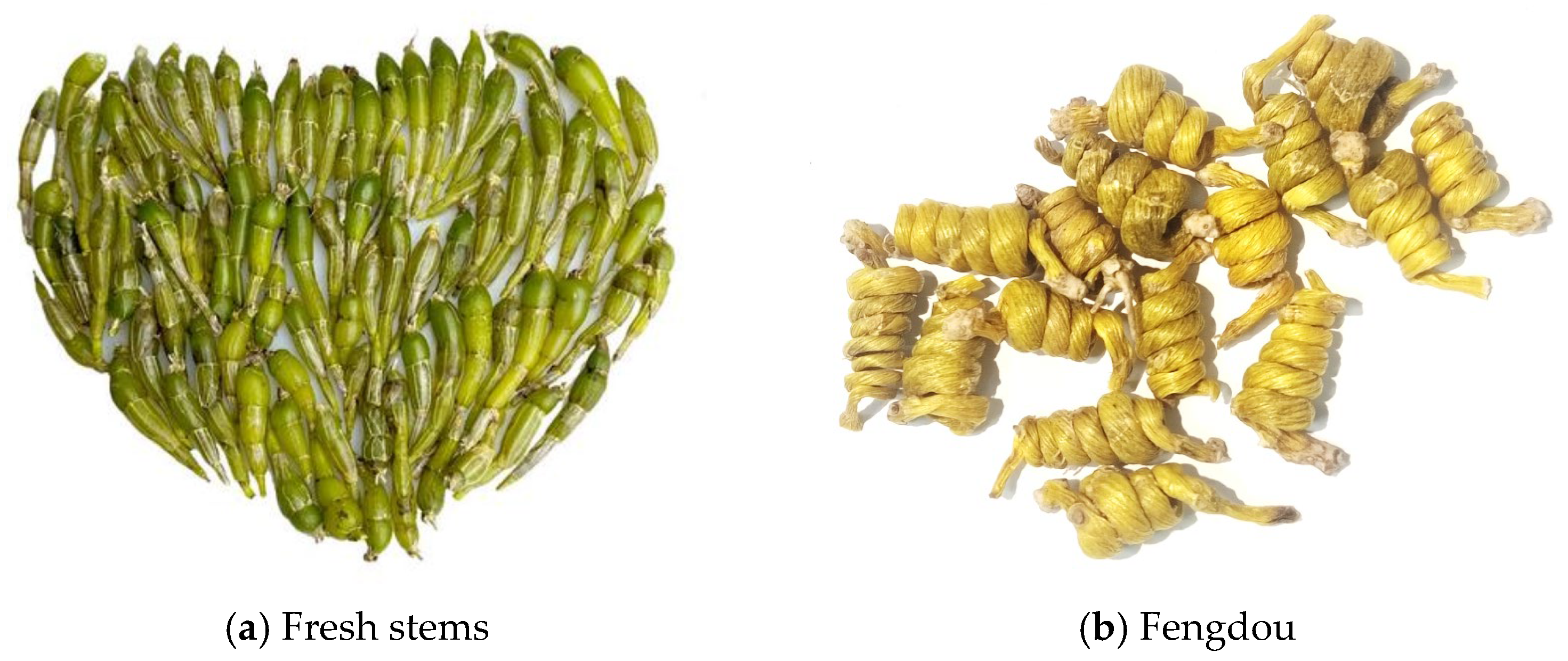 Biomimetics 10 00226 g009