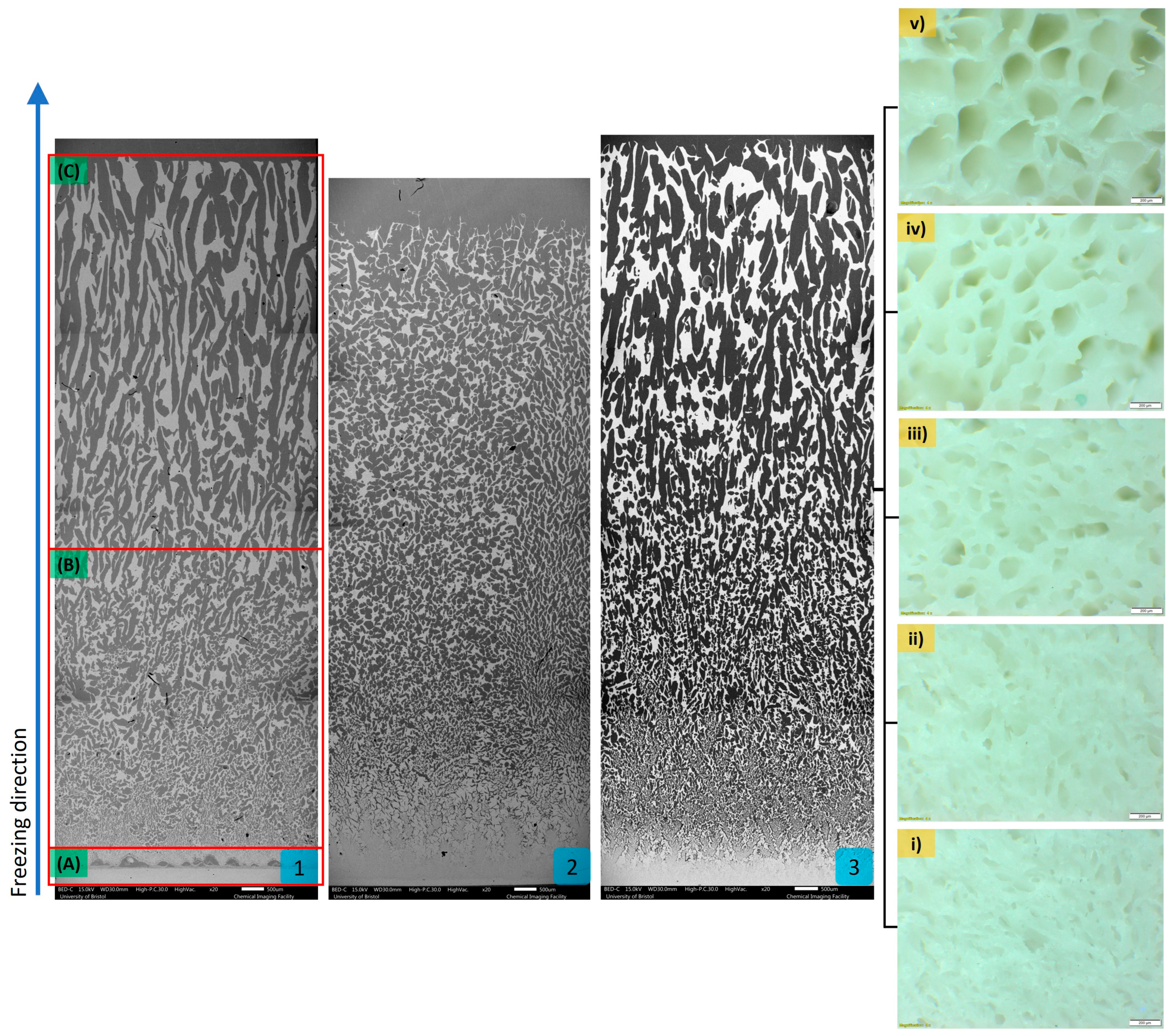 Biomimetics 10 00227 g002