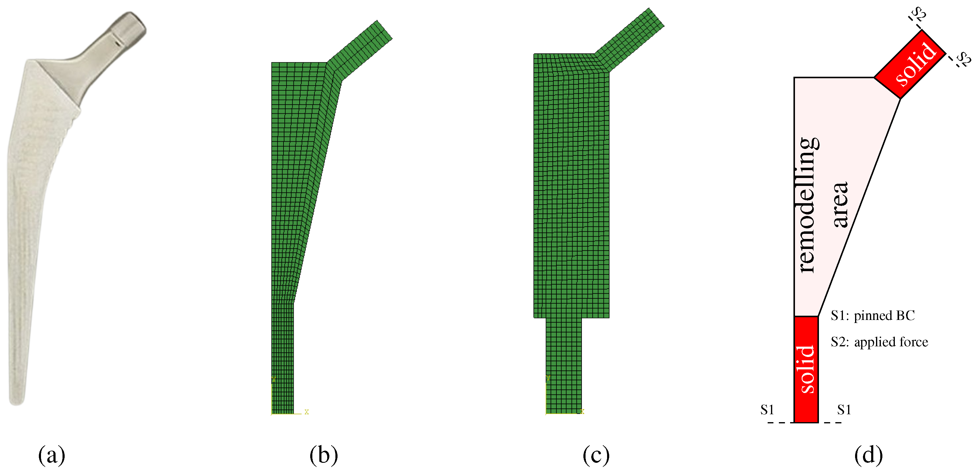 Biomimetics 10 00238 g001