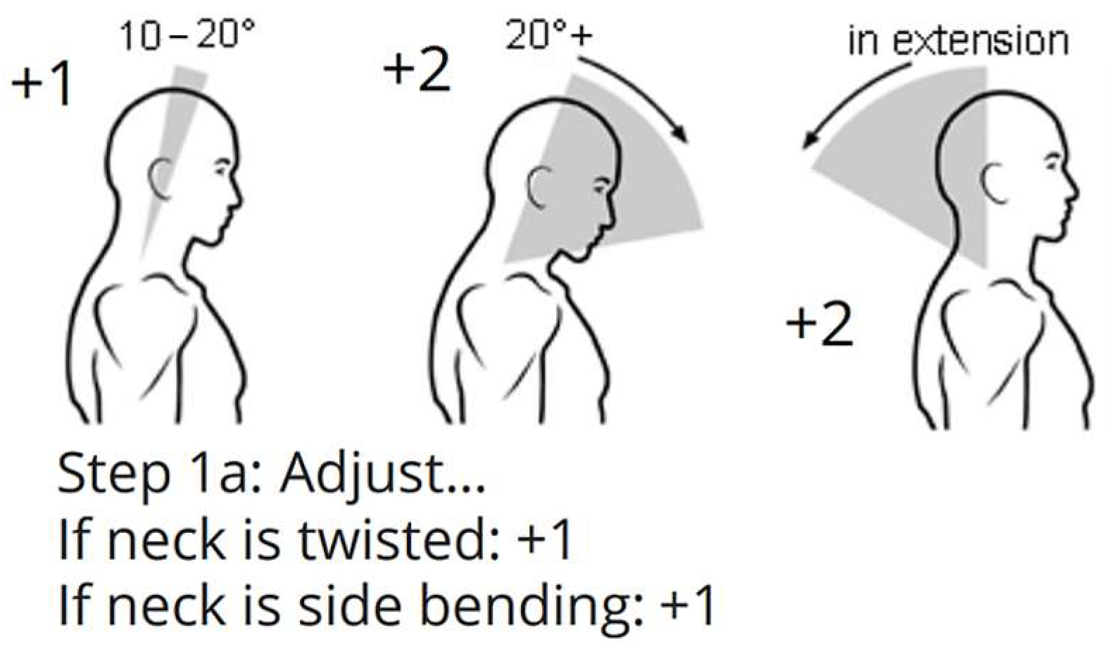 Biomimetics 10 00239 g002