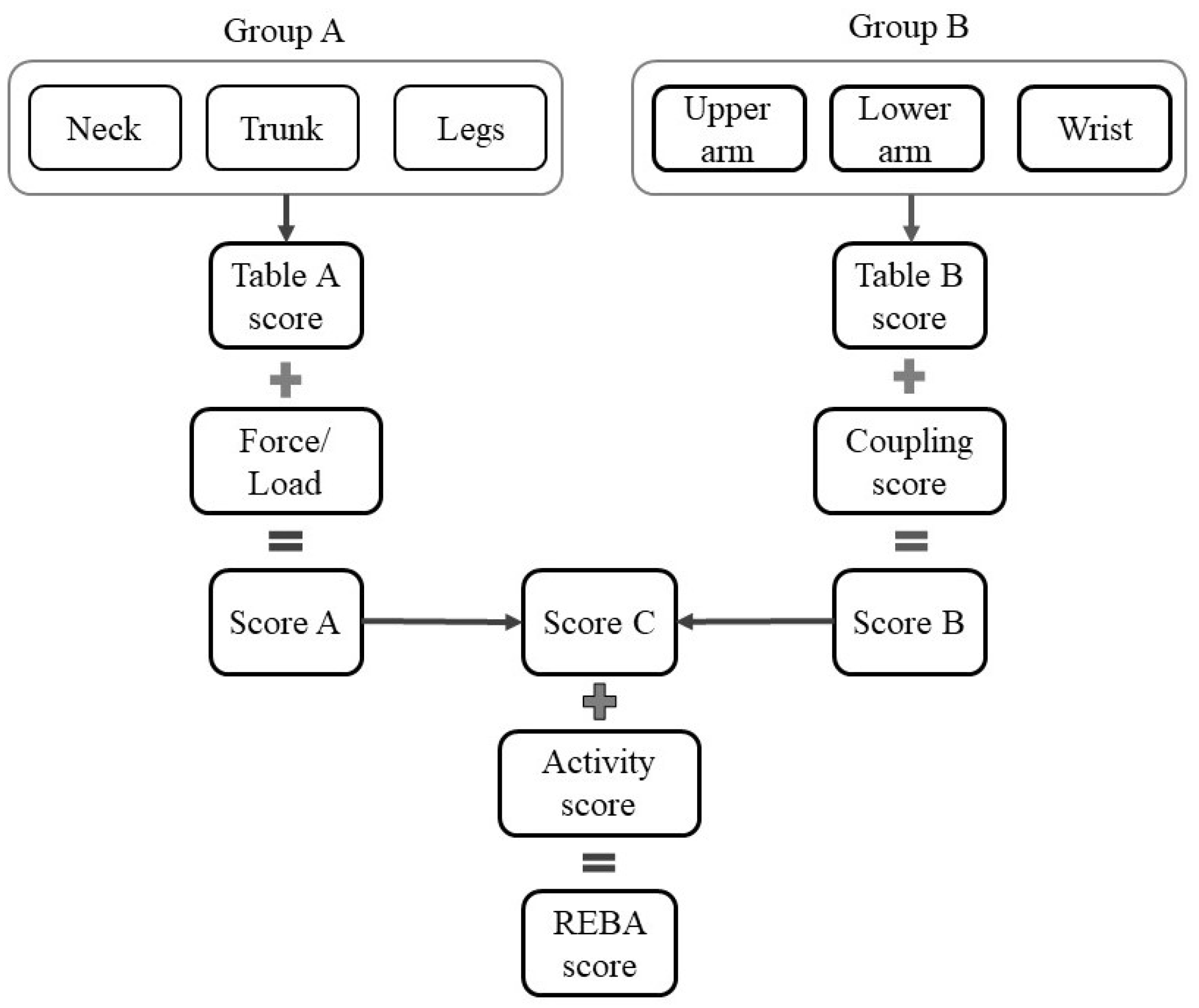 Biomimetics 10 00239 g003