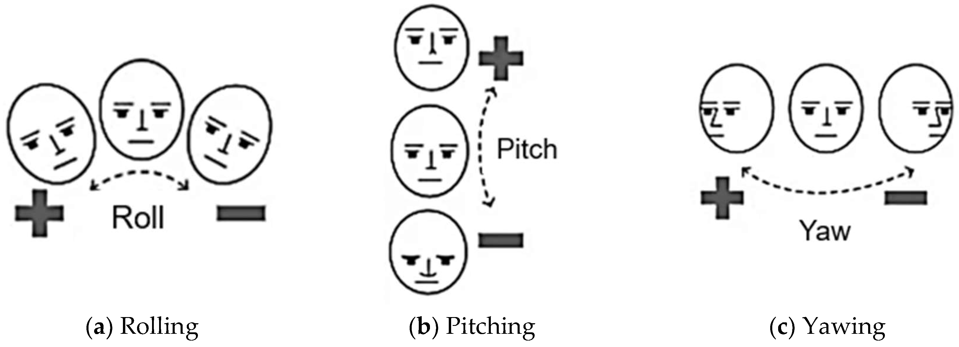 Biomimetics 10 00239 g008