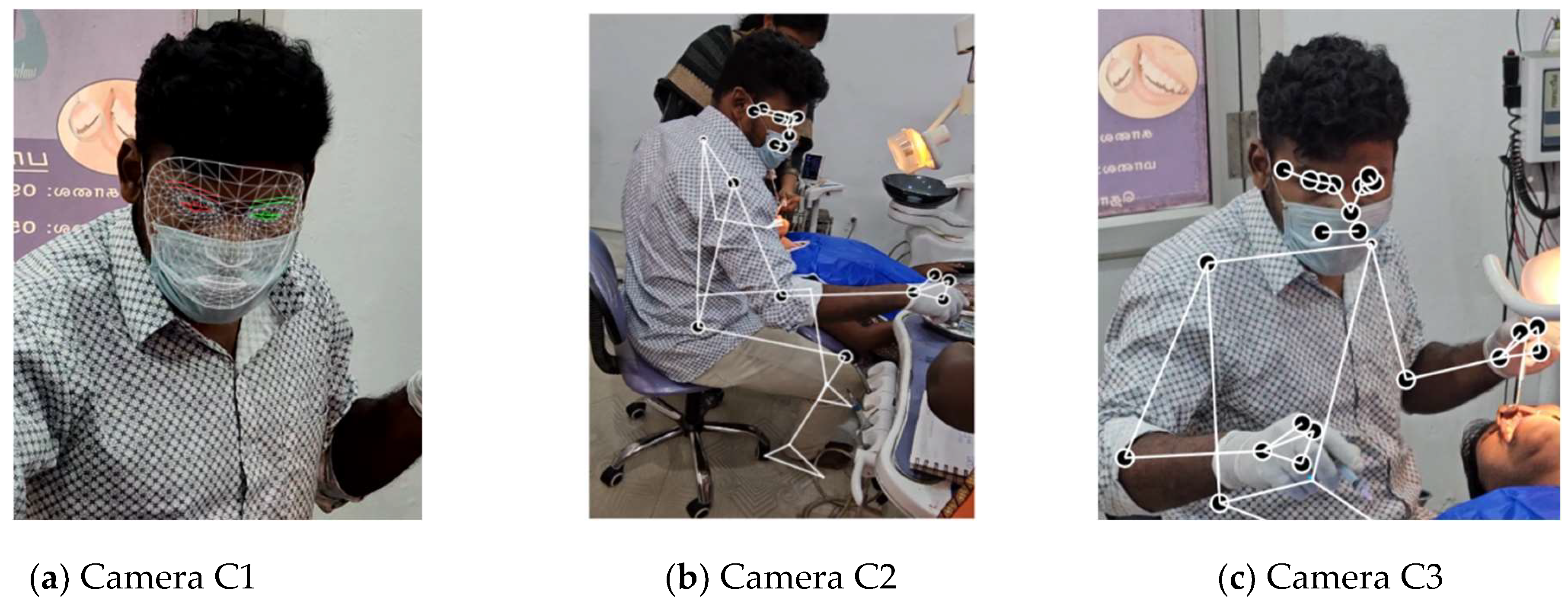 Biomimetics 10 00239 g010