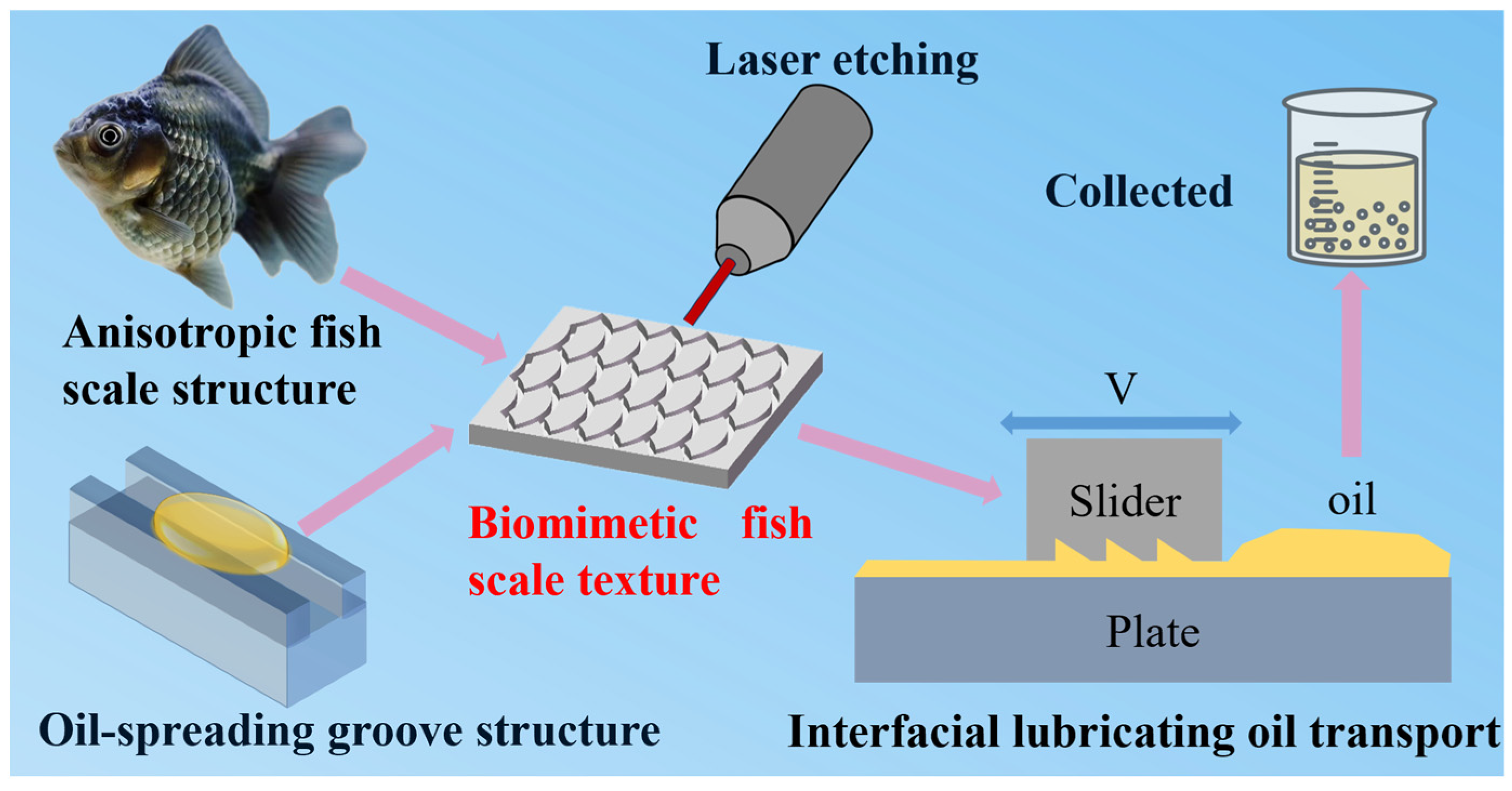 Biomimetics 10 00248 g001