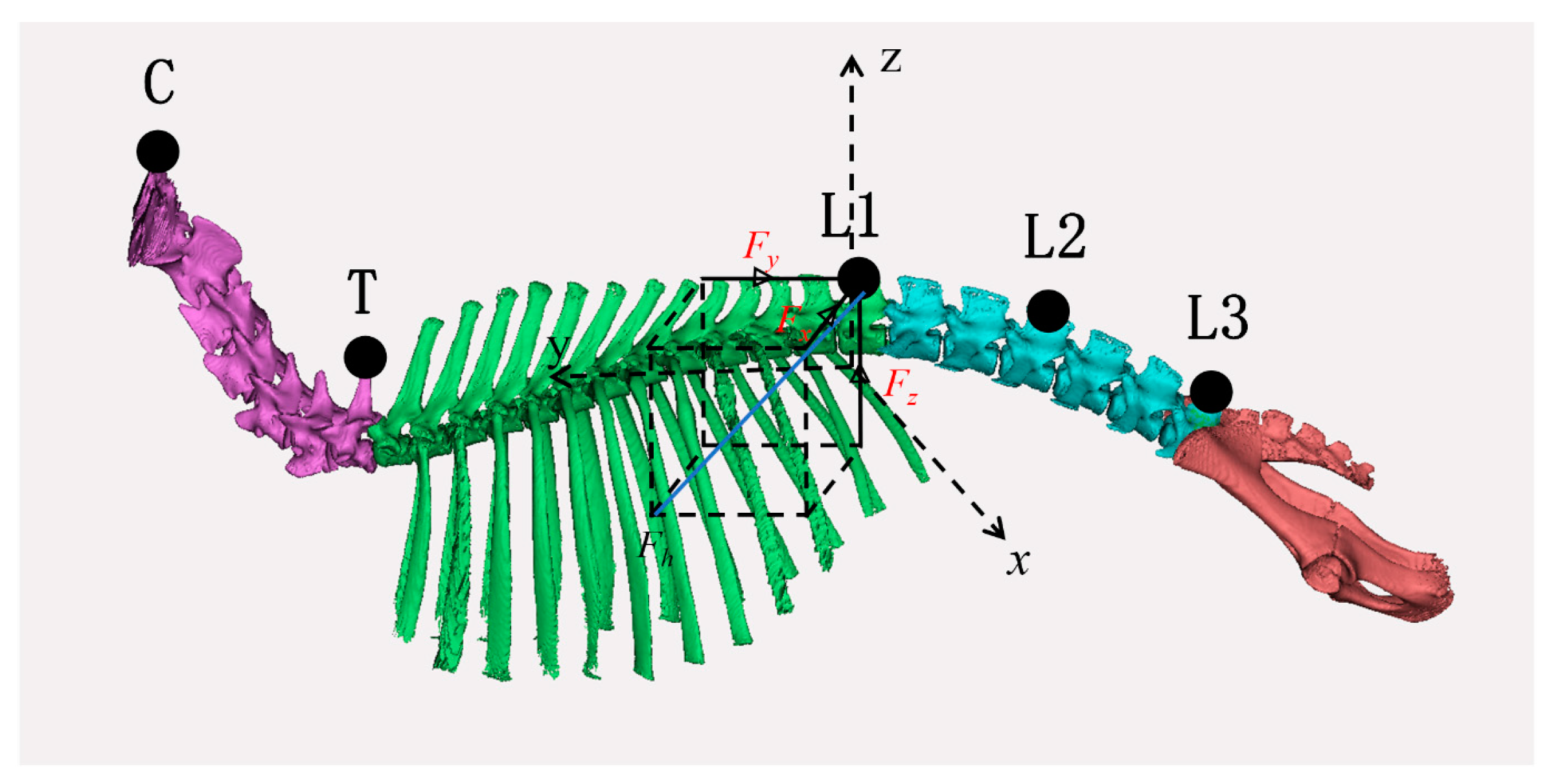 Biomimetics 10 00250 g002
