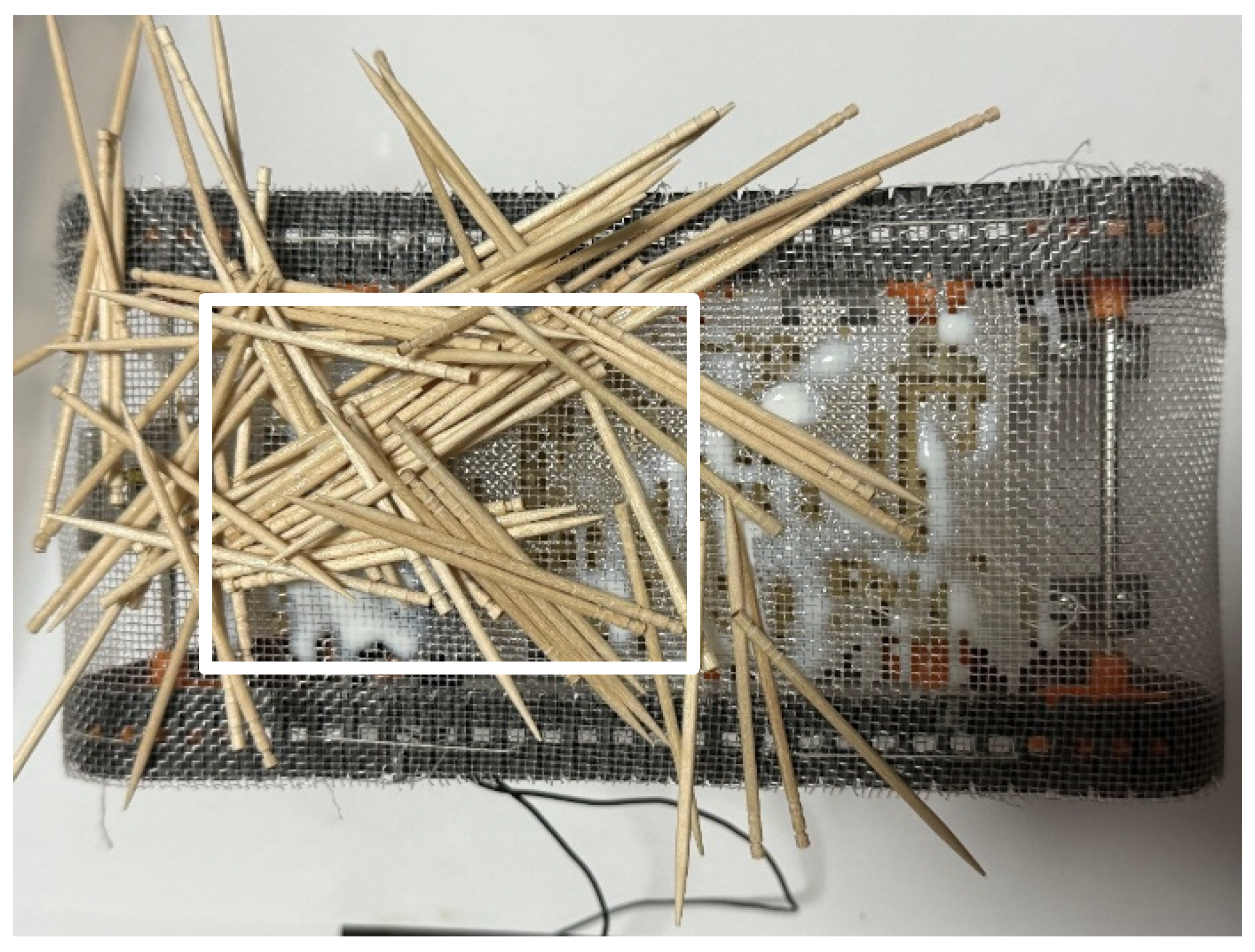 Biomimetics 10 00252 g021