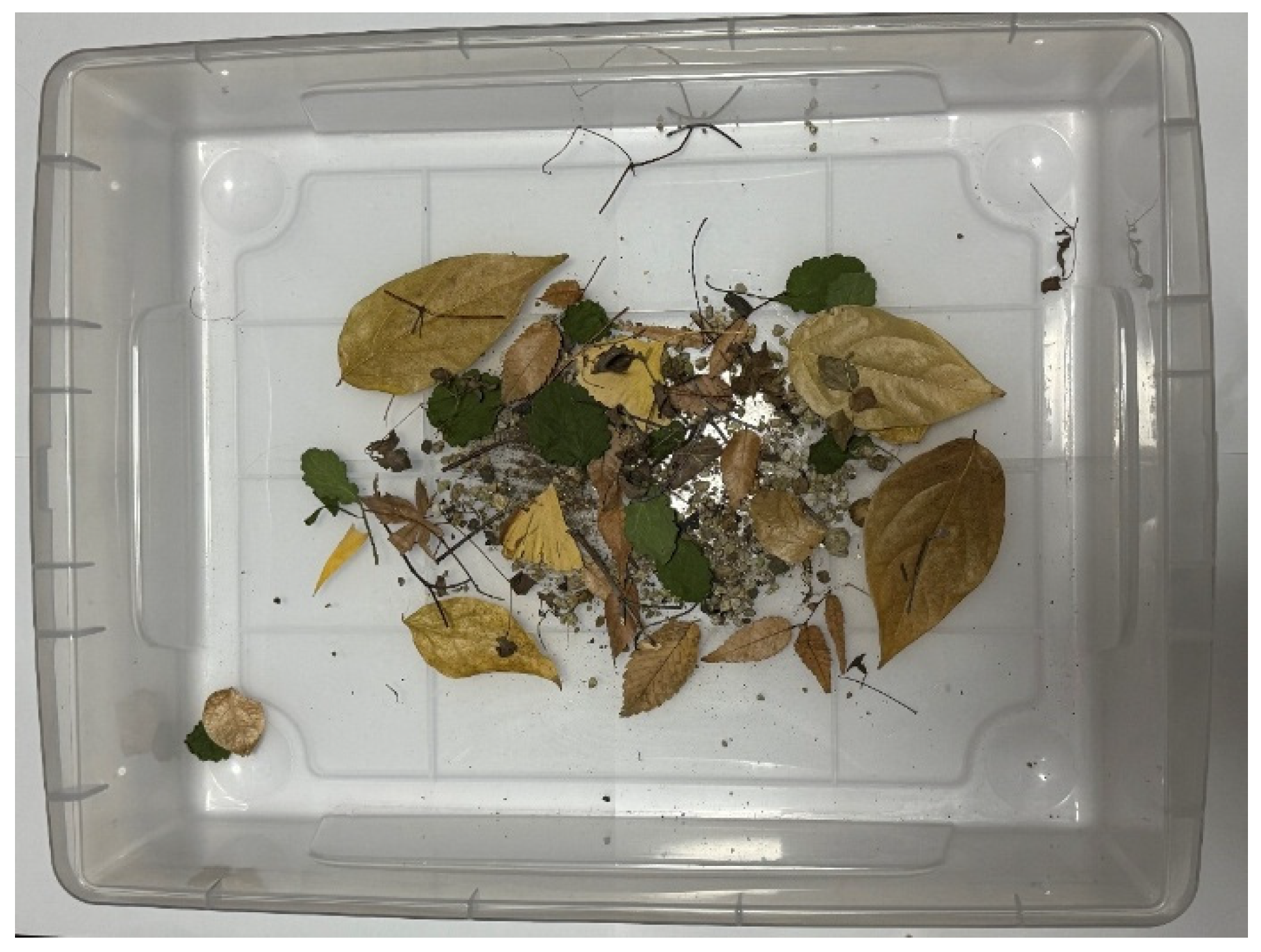 Biomimetics 10 00252 g022