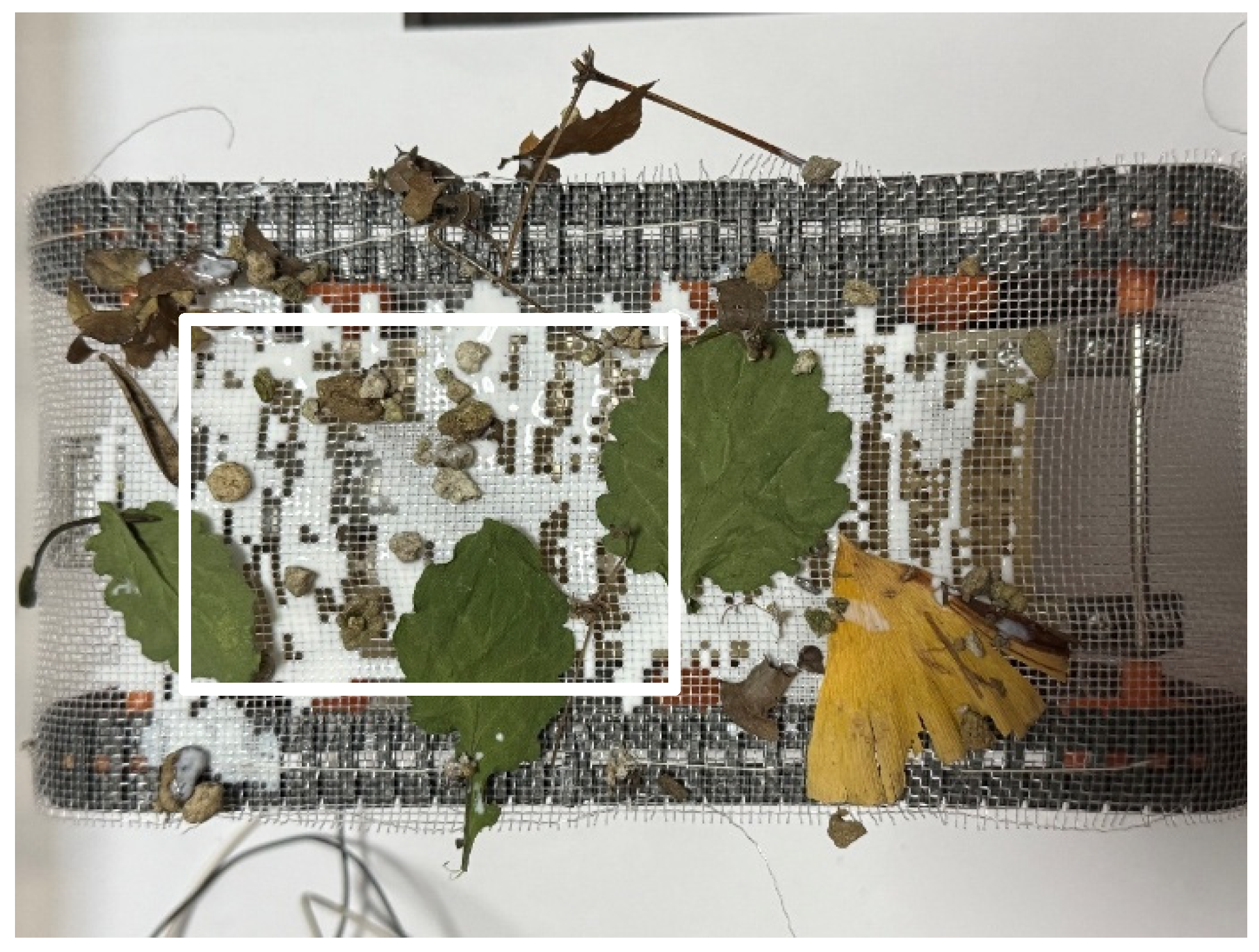 Biomimetics 10 00252 g023