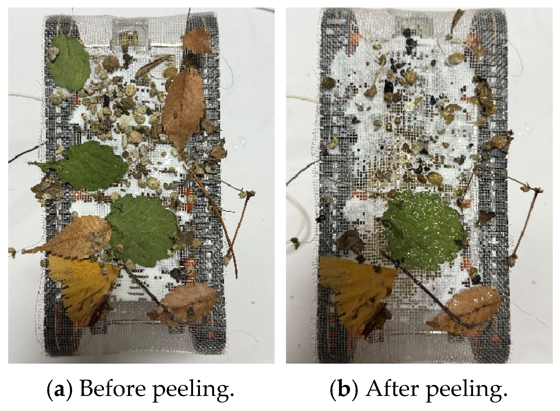 Biomimetics 10 00252 g024