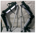 Biomimetics 10 00258 i013