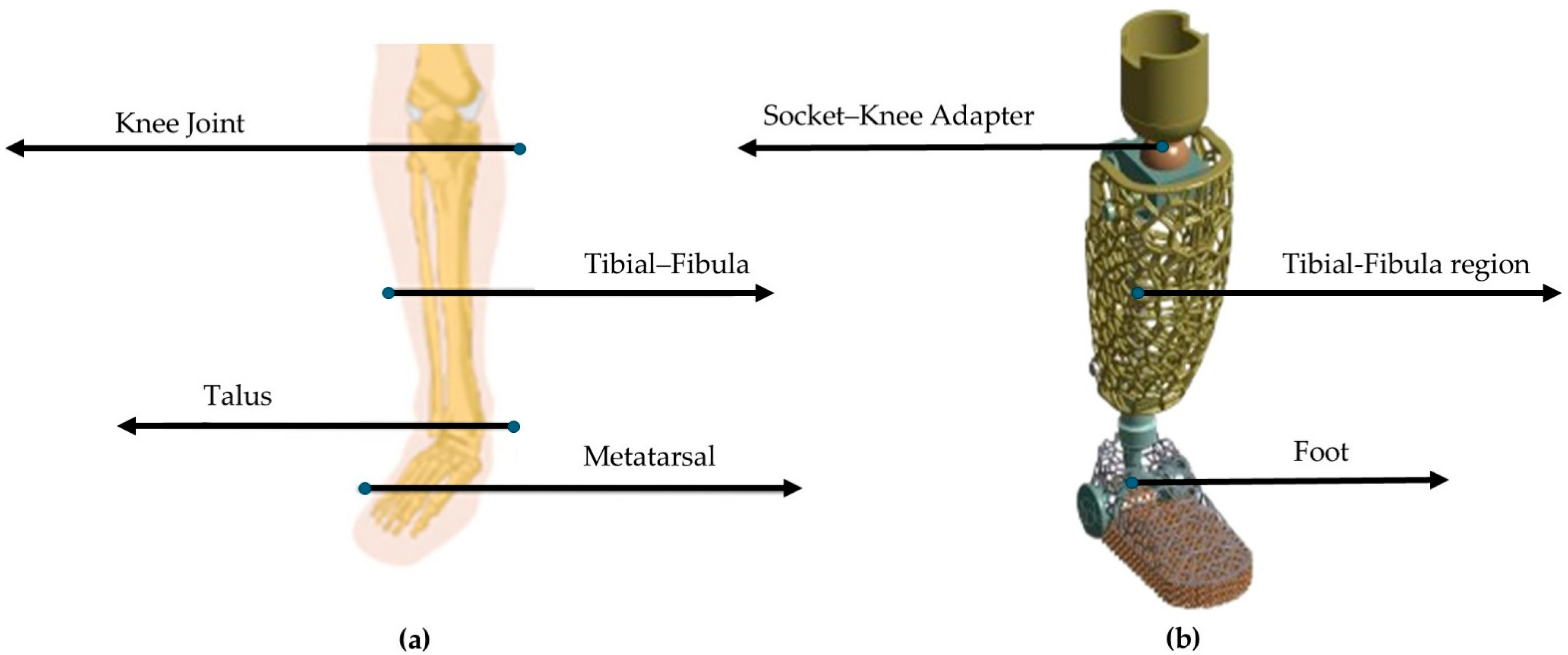 Biomimetics 10 00261 g002