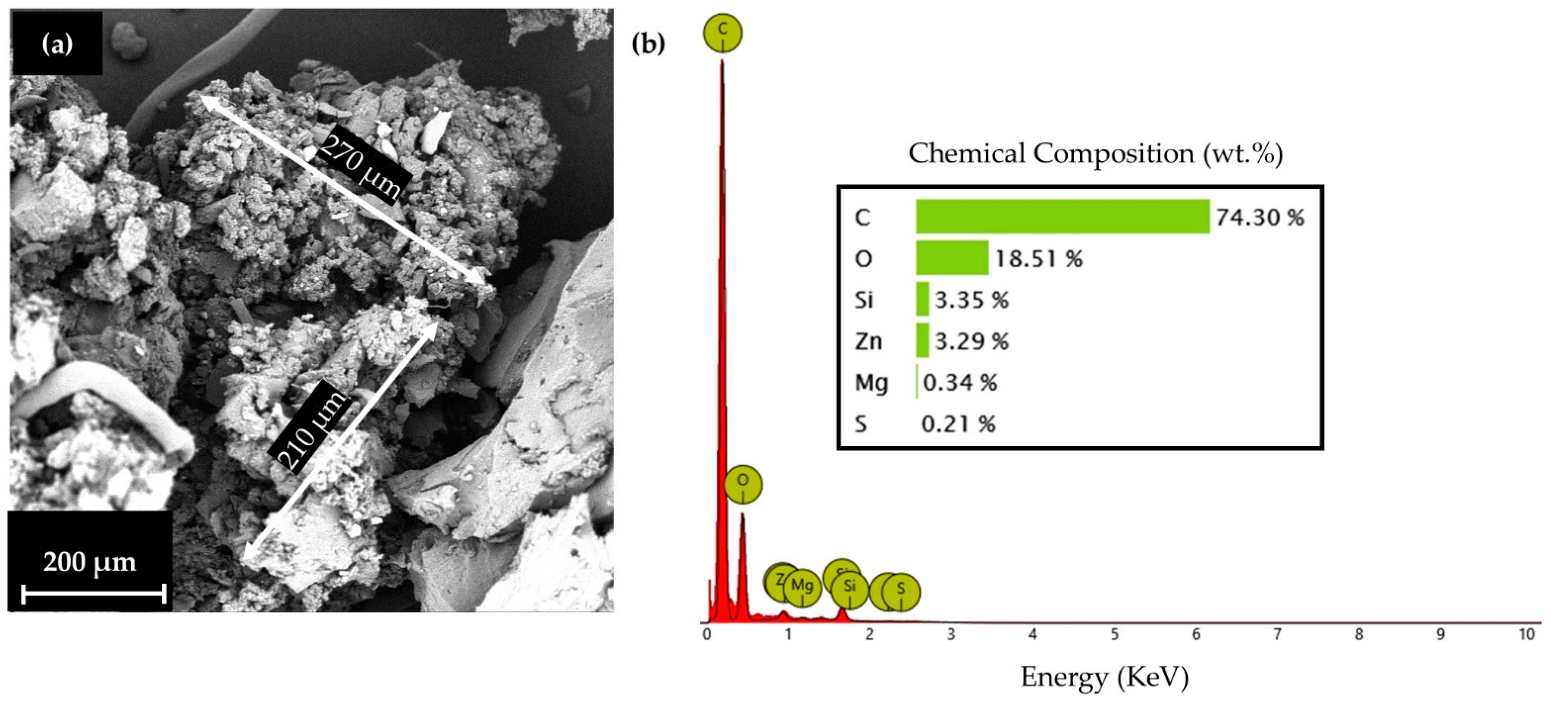 Biomimetics 10 00261 g004