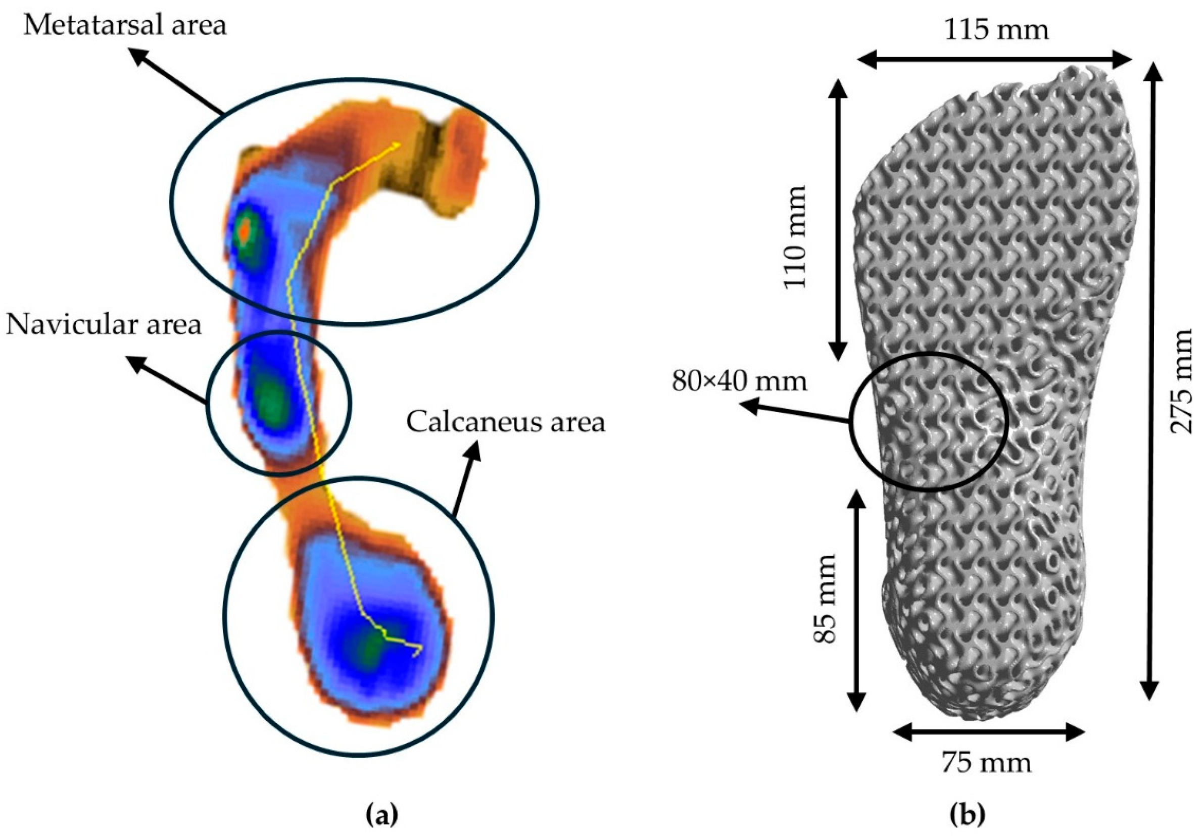 Biomimetics 10 00261 g006
