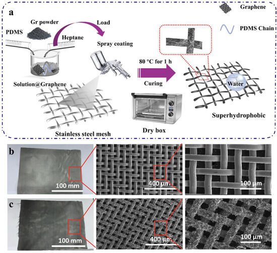 Lotus Leaf-Inspired Corrosion-Resistant and Robust