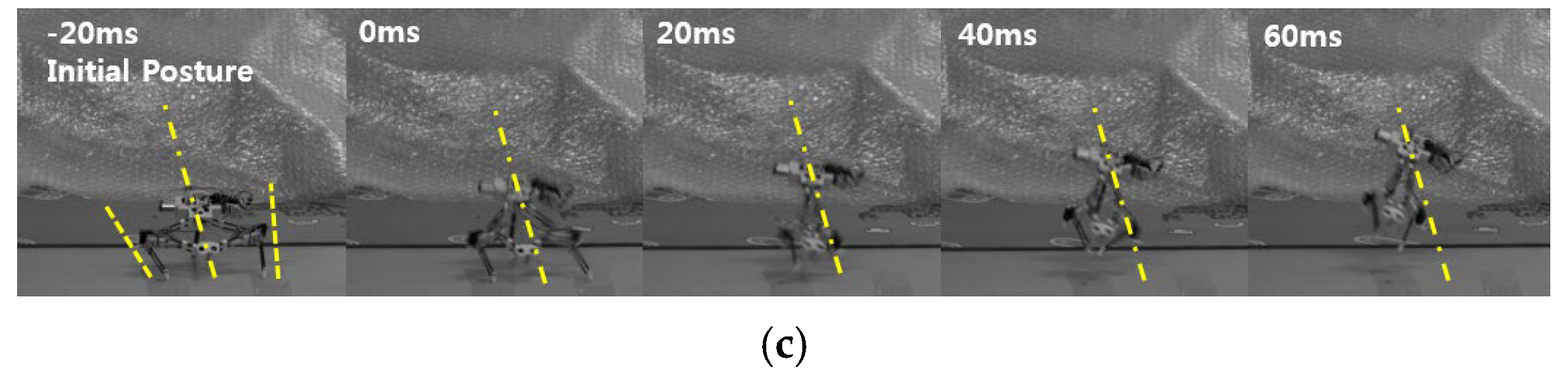 Biomimetics 10 00264 g012b