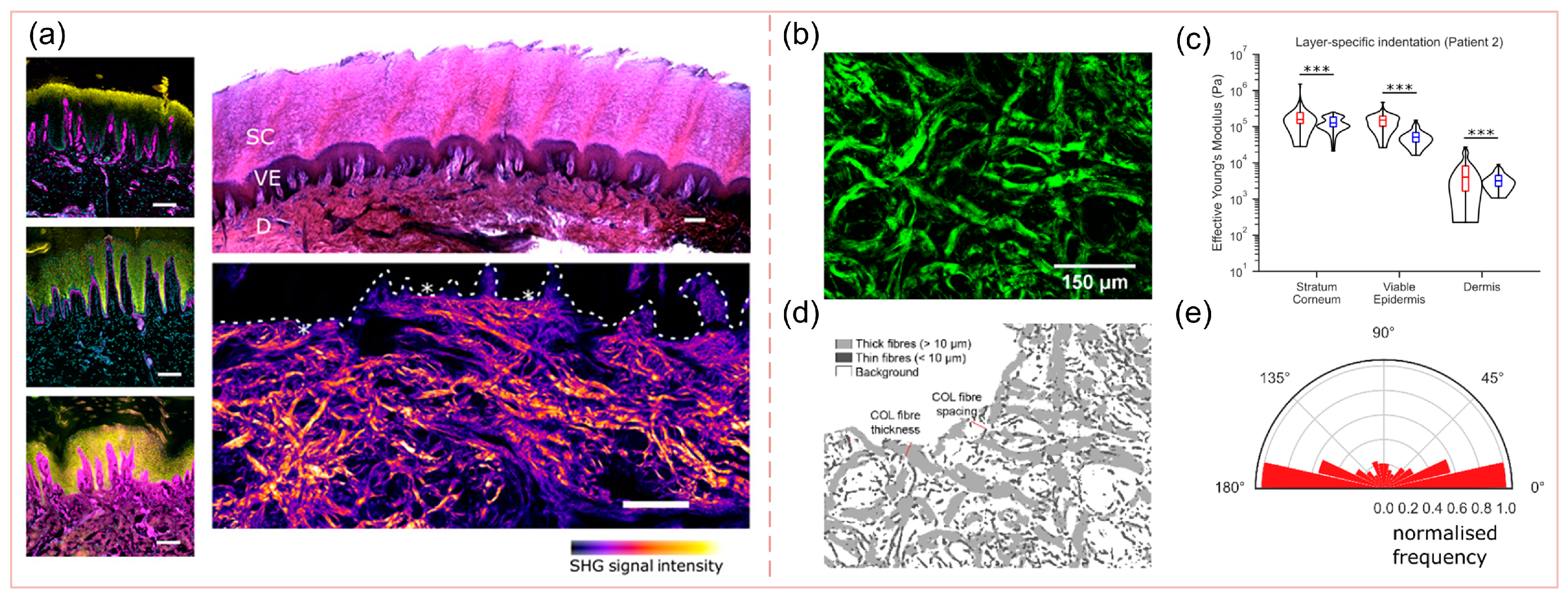 Biomimetics 10 00267 g003