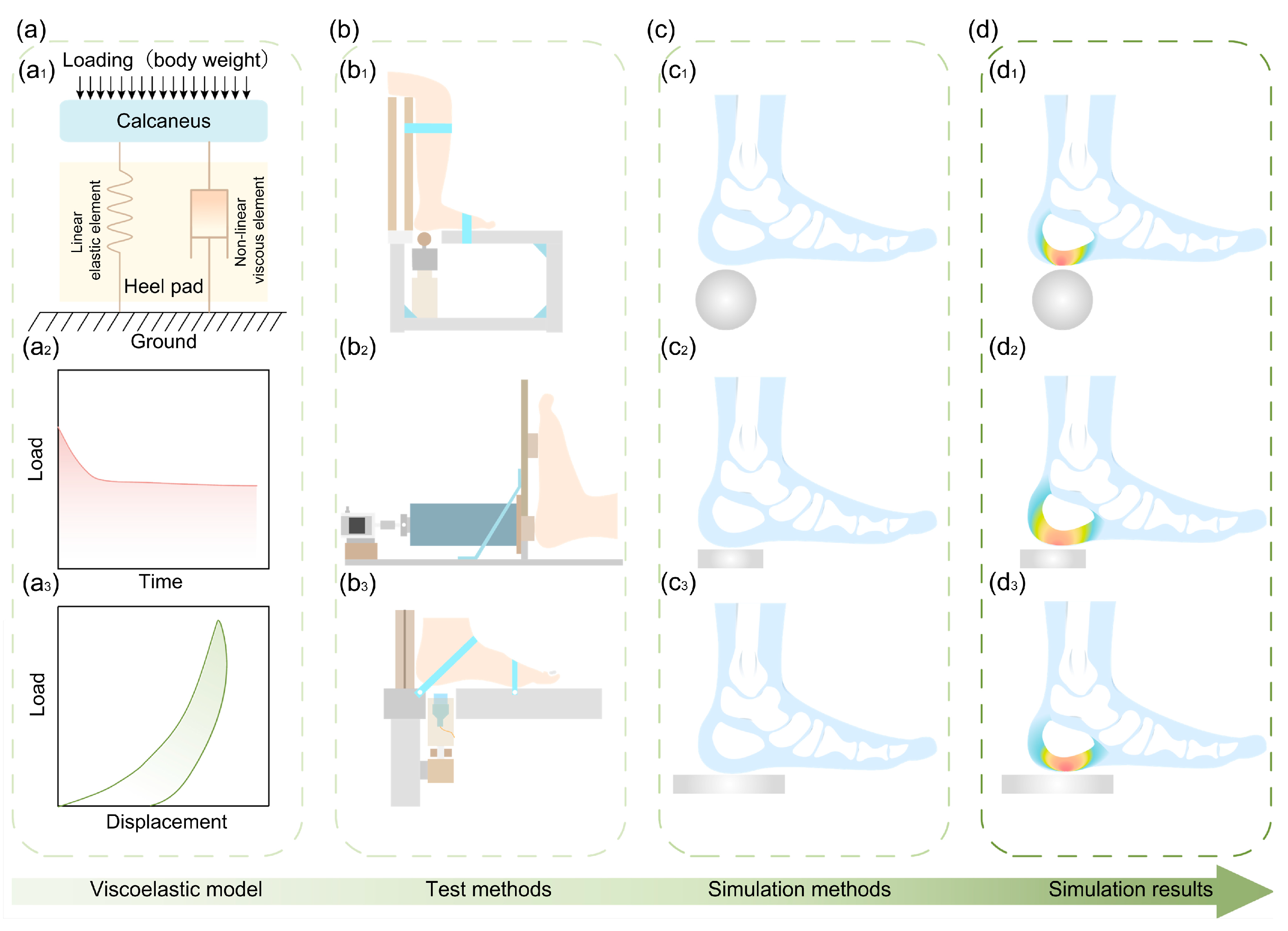 Biomimetics 10 00267 g005