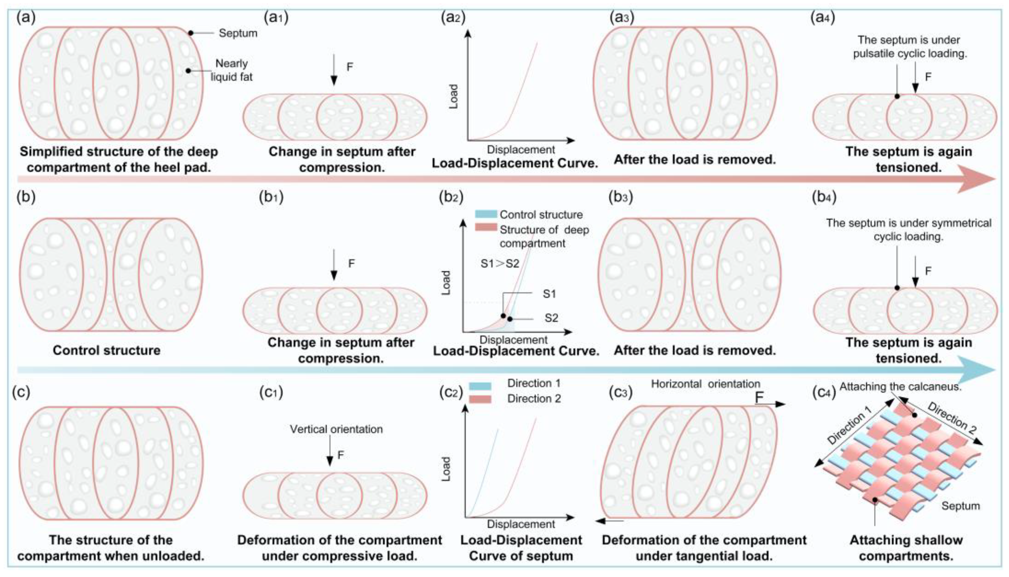 Biomimetics 10 00267 g010