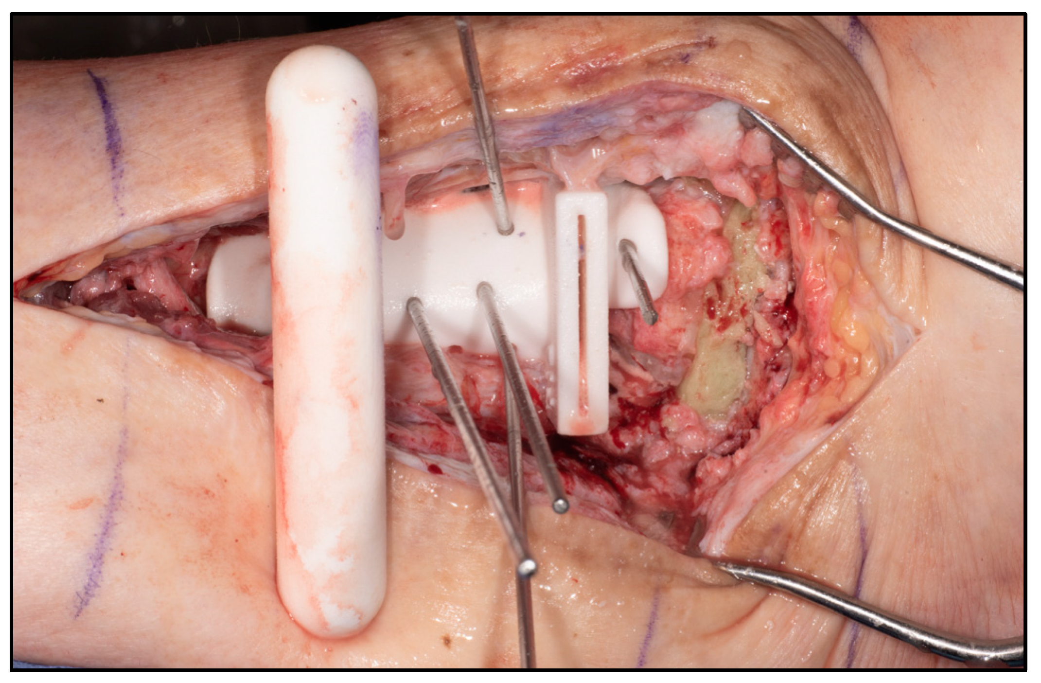 Biomimetics 10 00269 g005