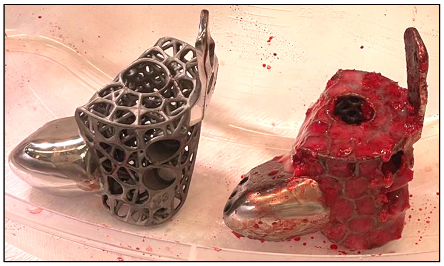 Biomimetics 10 00269 g008