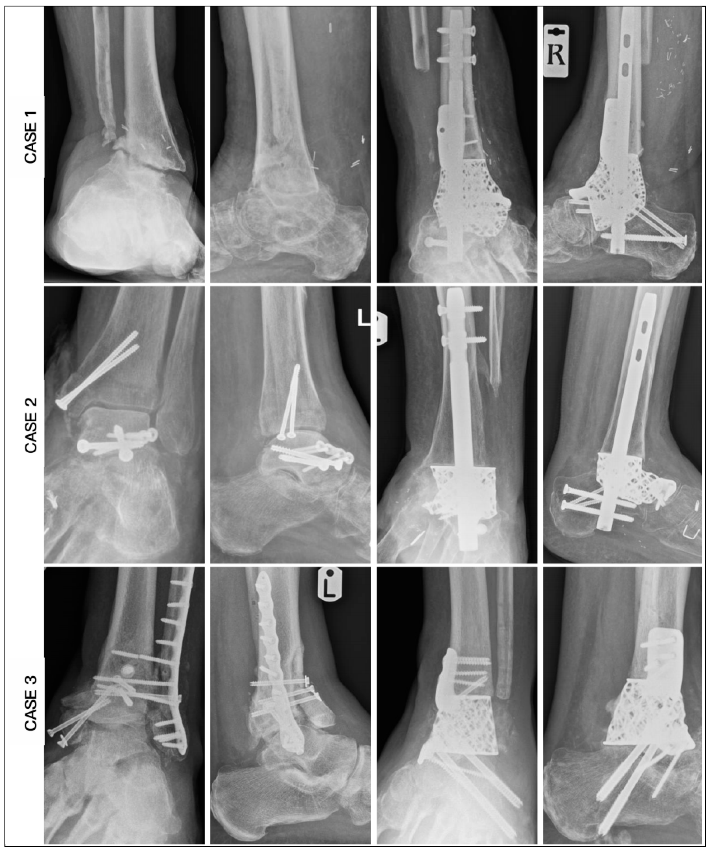 Biomimetics 10 00269 g010