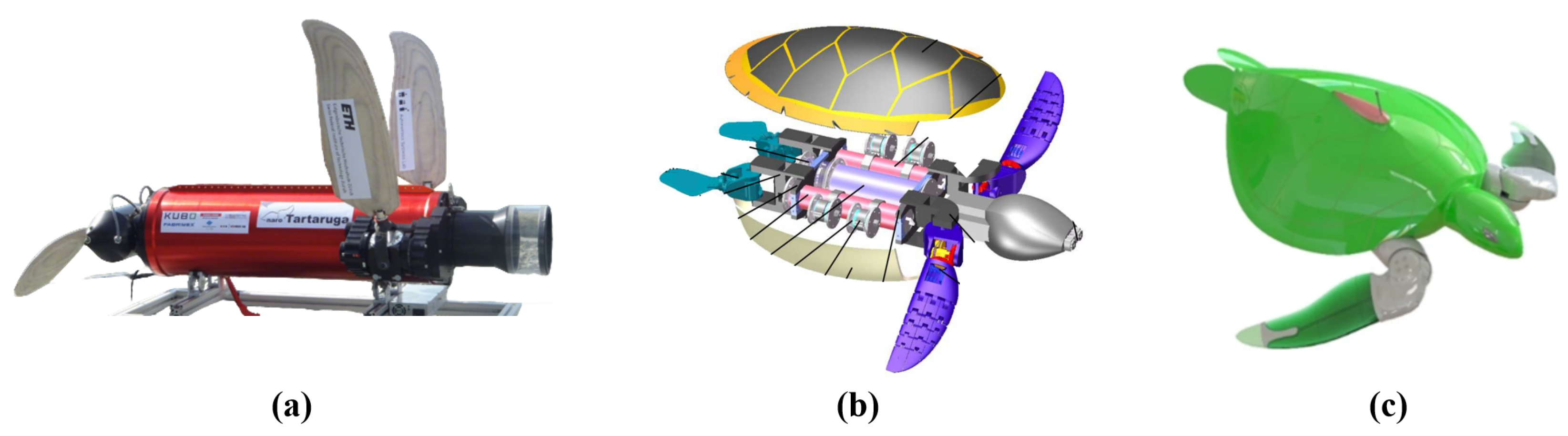 Biomimetics 10 00272 g009