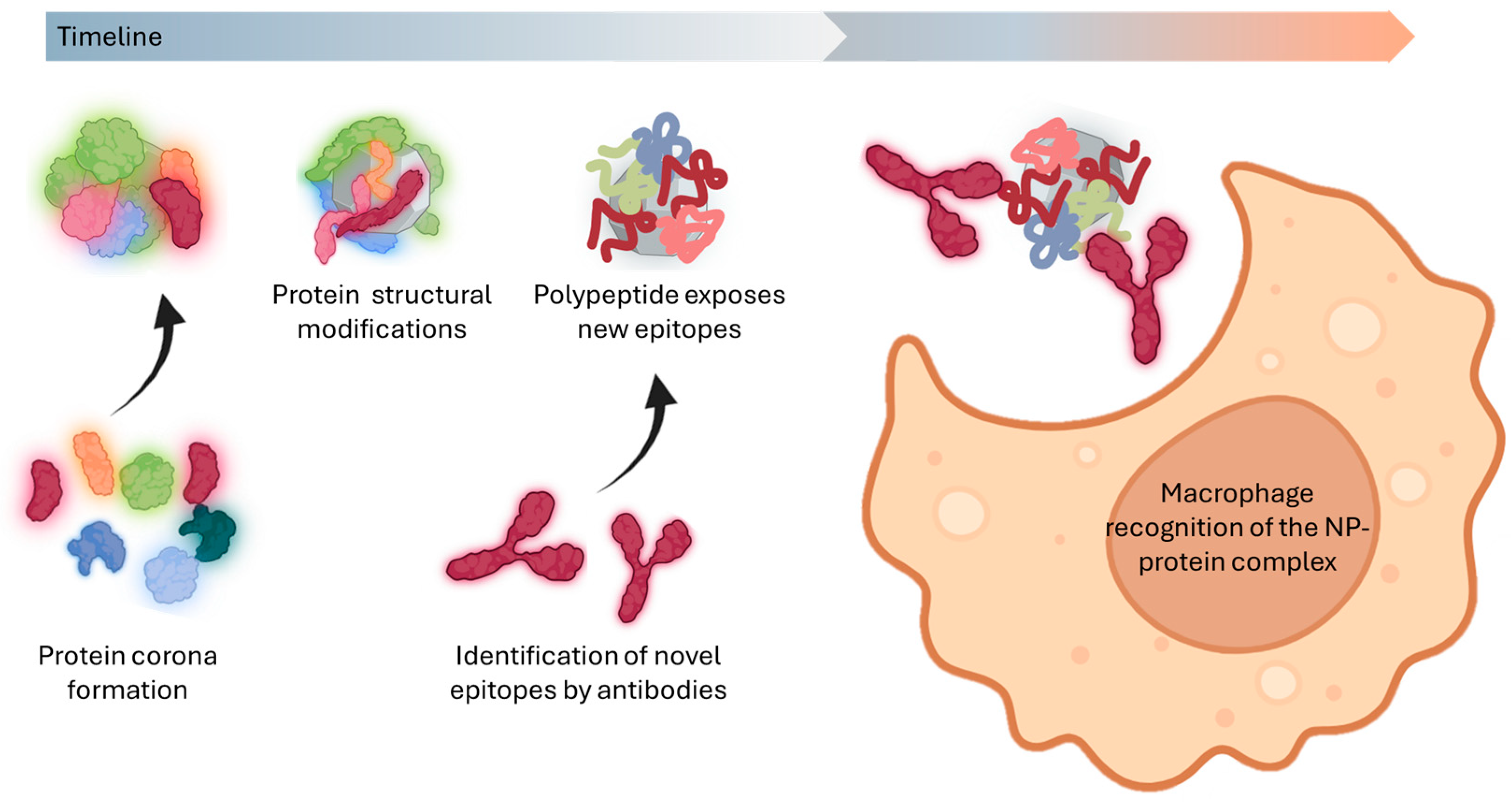 Biomimetics 10 00276 g003