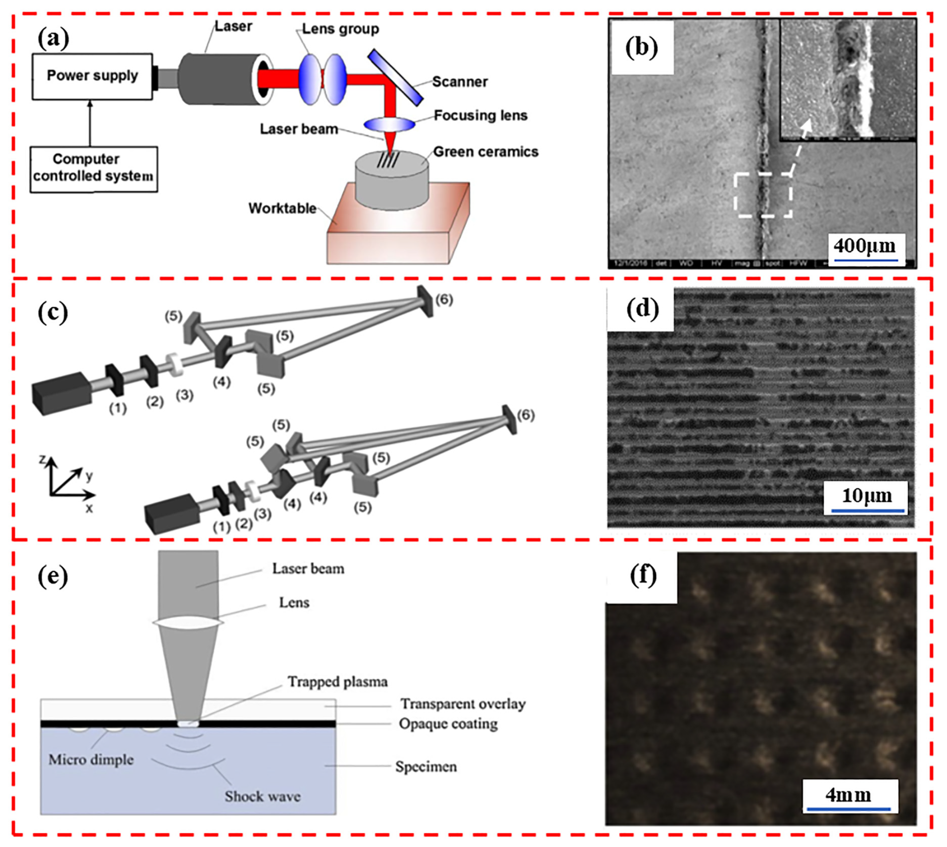 Biomimetics 10 00283 g002