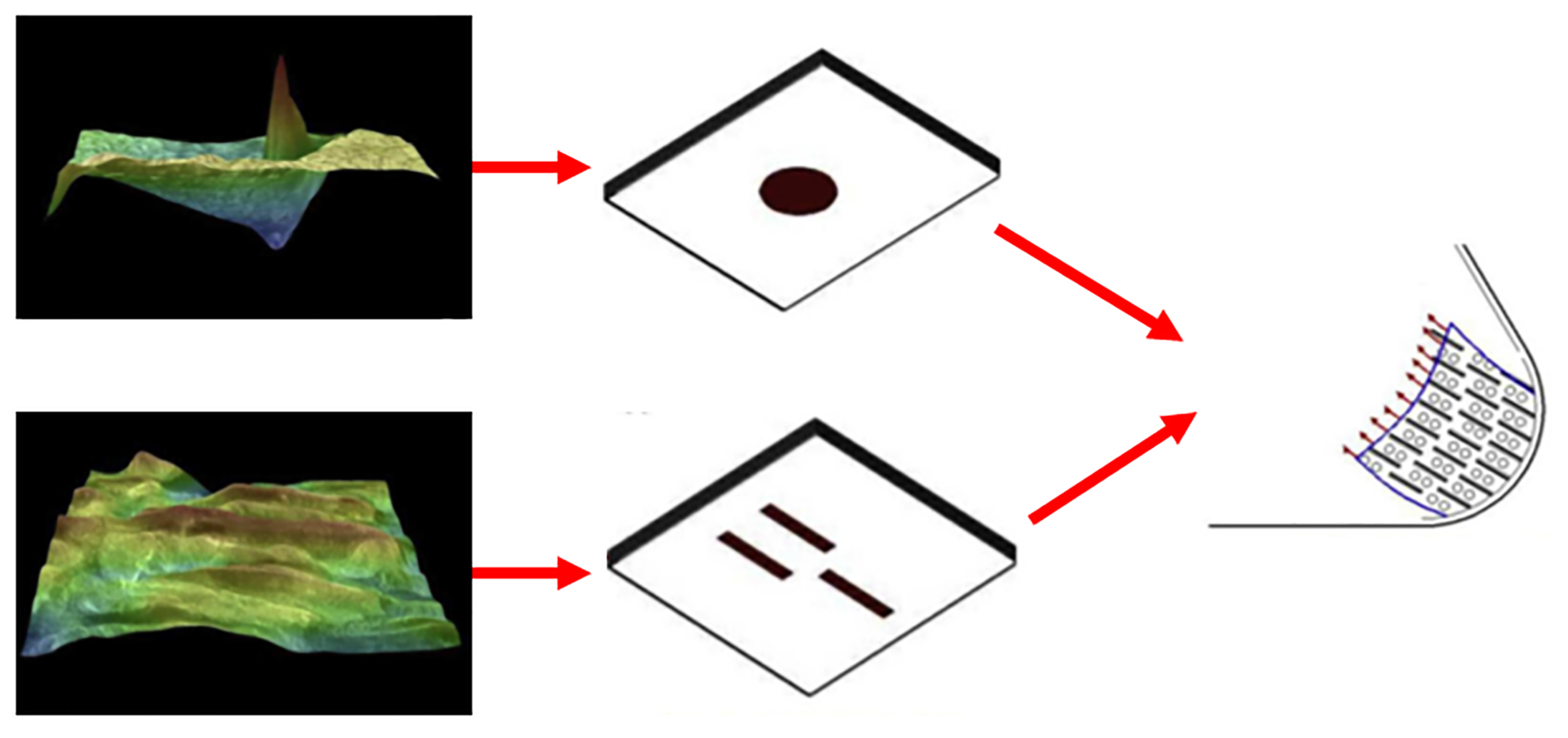 Biomimetics 10 00283 g014