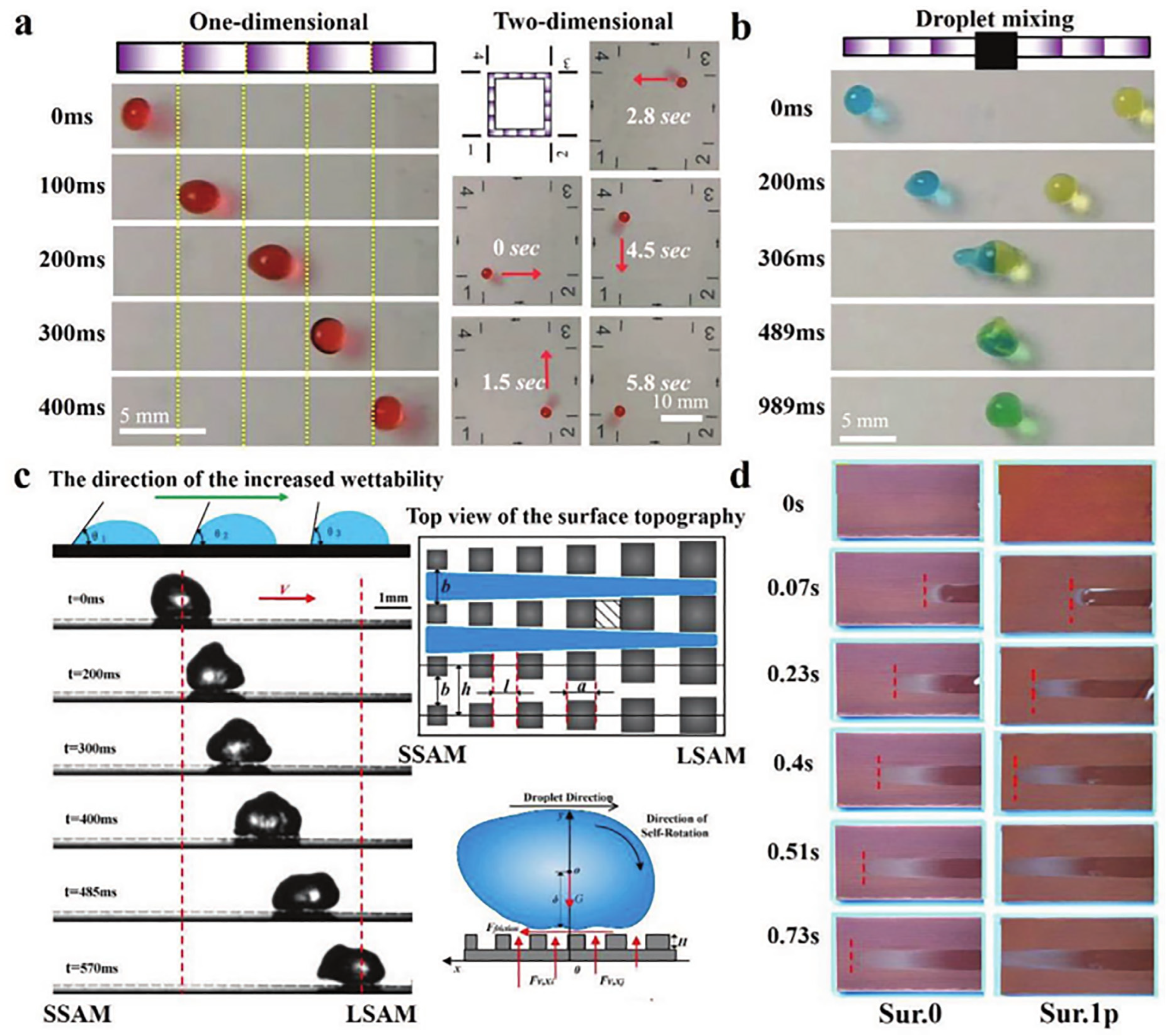 Biomimetics 10 00283 g016