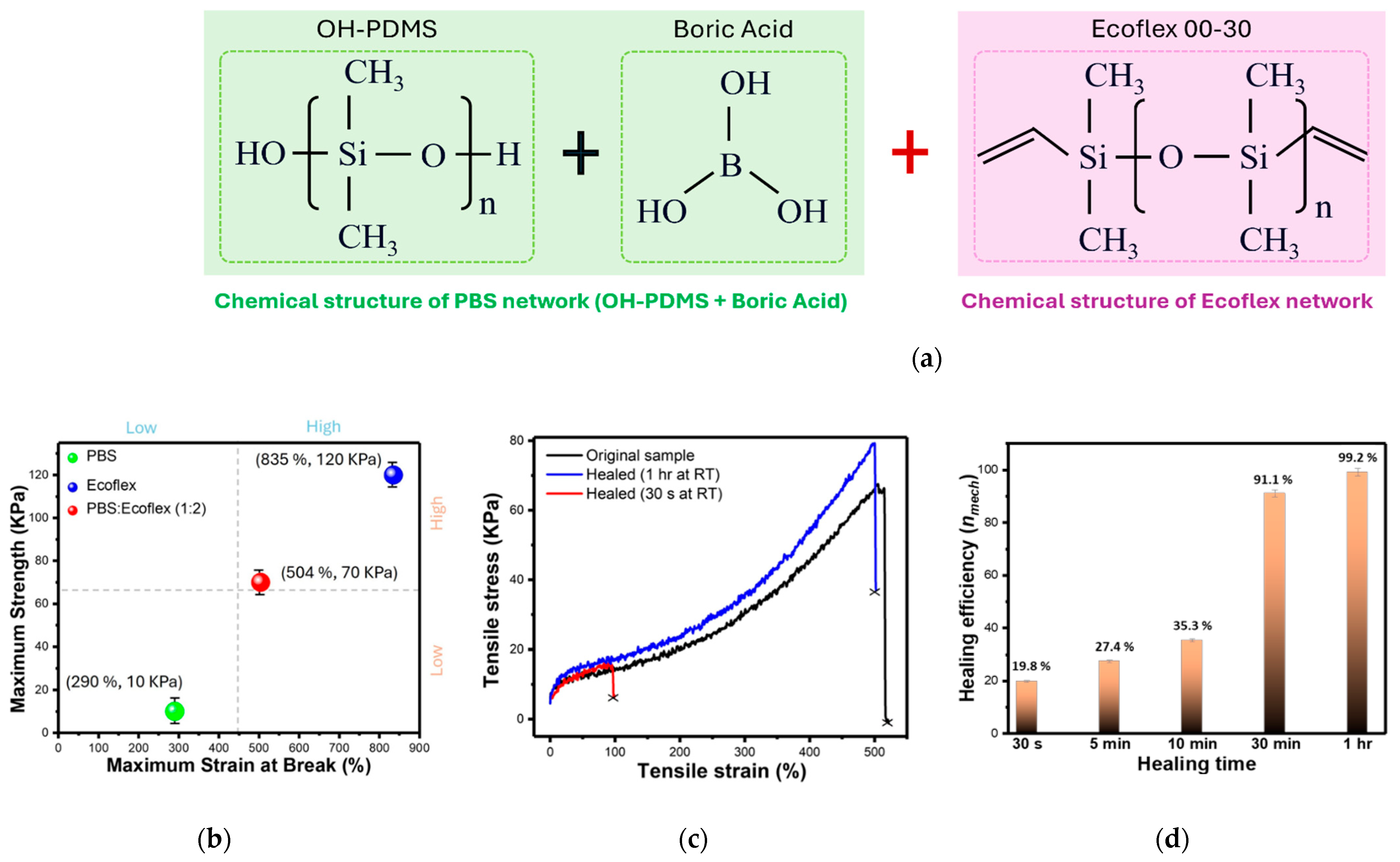 Biomimetics 10 00284 g002