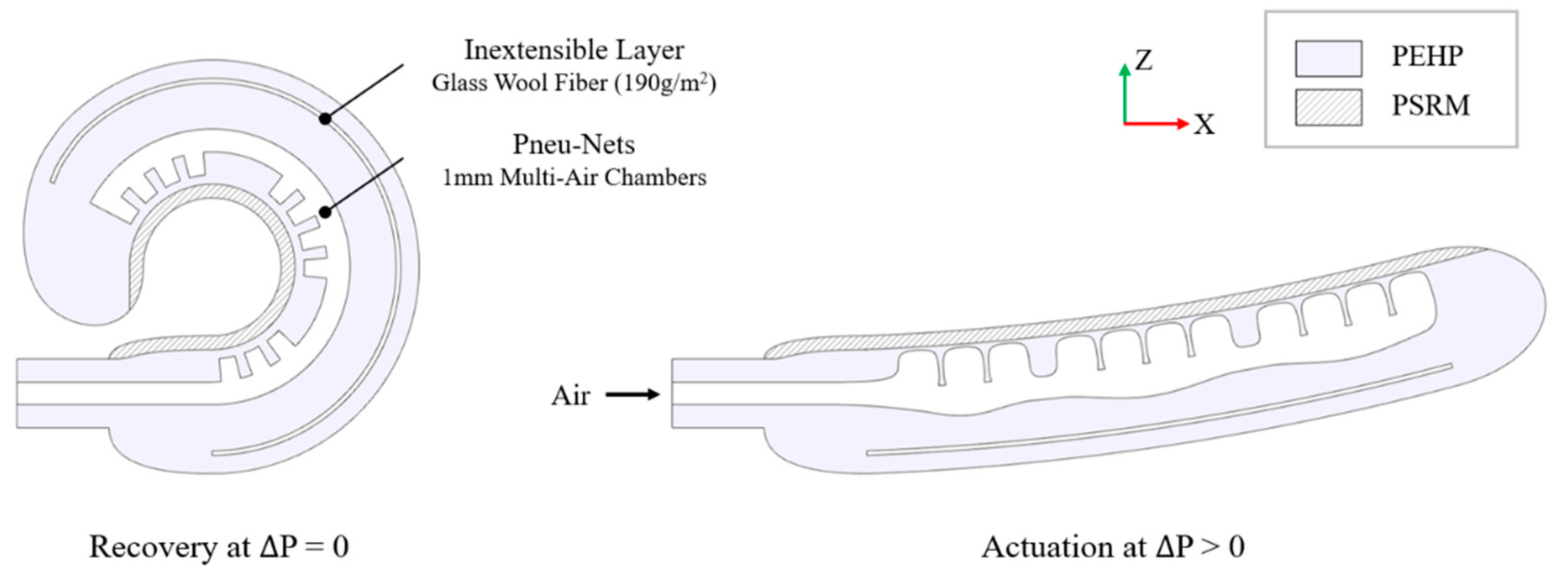 Biomimetics 10 00284 g004