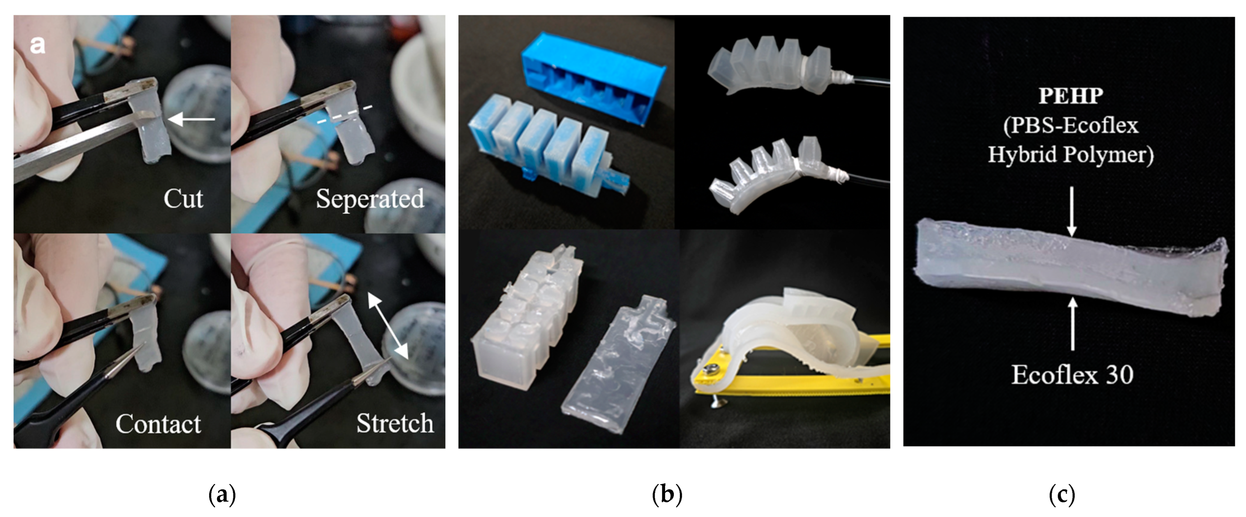 Biomimetics 10 00284 g010