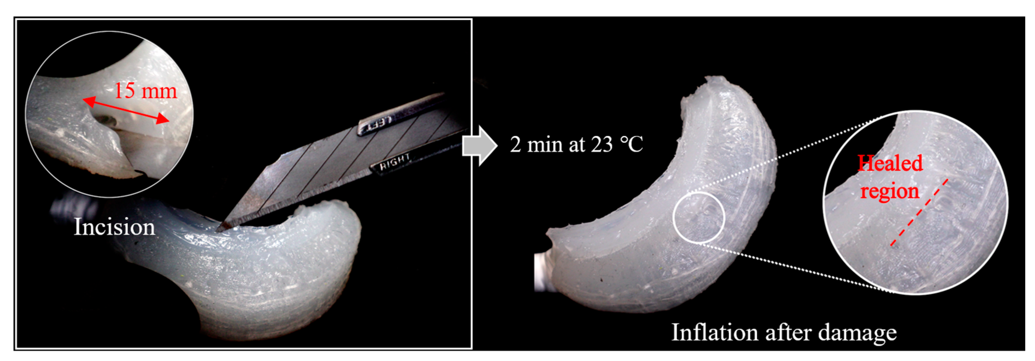 Biomimetics 10 00284 g014
